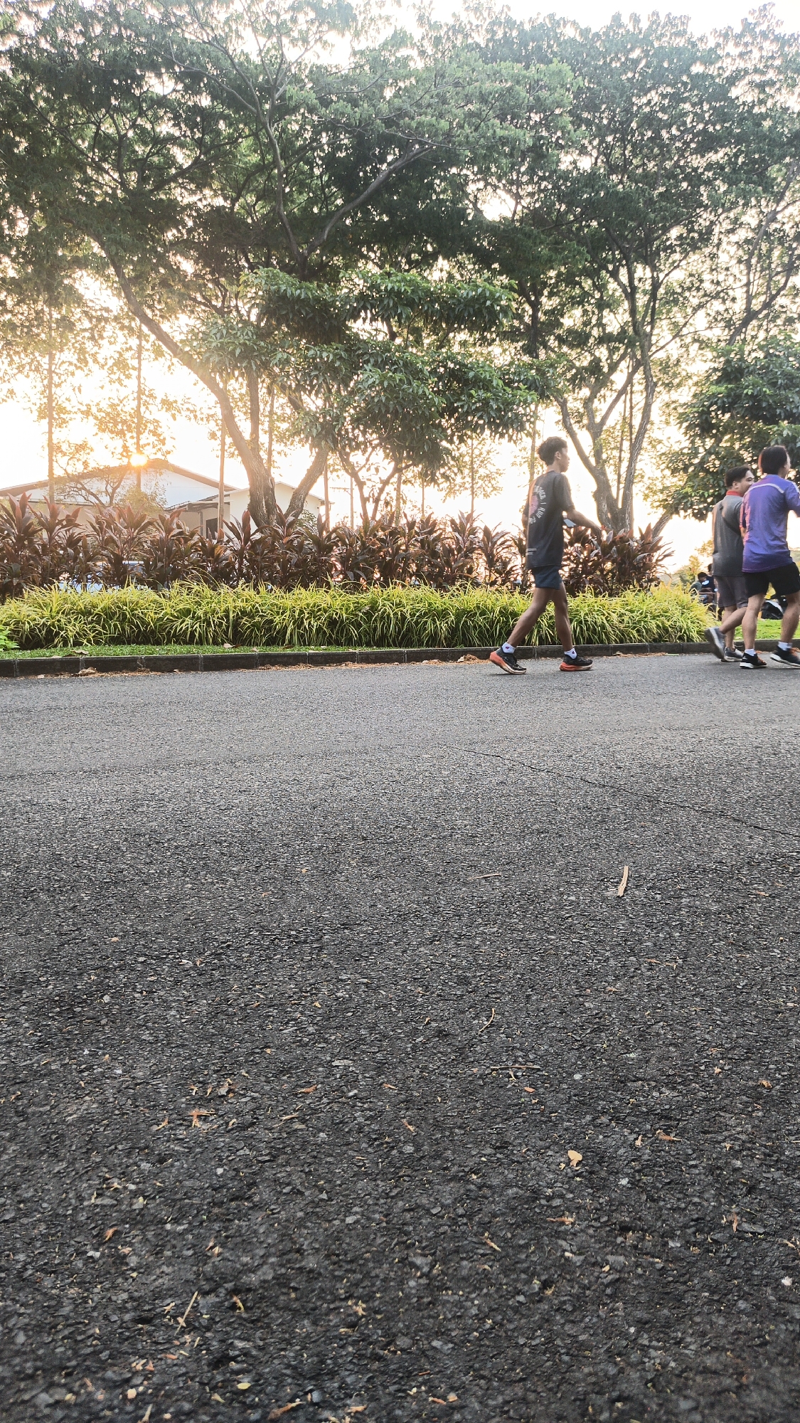 A group of young men are walking or running on an asphalt path in a park-like setting in Bacin, Indonesia, during sunset. The sun is low in the sky, casting a warm, golden light through the trees. In the foreground, the asphalt path is textured with small stones and scattered debris. Behind the path, a line of ornamental plants with dark red and bright green foliage runs horizontally. Further back, large trees with dense green canopies dominate the scene, their branches reaching towards the sky. A white building with a visible roofline is partially visible through the trees on the left side of the image. The individuals are dressed in athletic wear, with one person in a dark t-shirt and shorts in the middle, and two others further back, one in a grey shirt and shorts and the other in a blue shirt and shorts. Their actions suggest they are engaged in outdoor exercise.