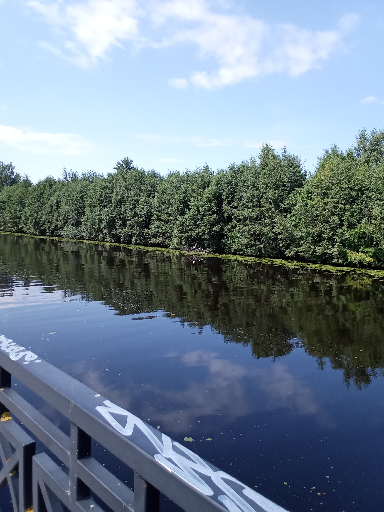 The image shows a body of water with a lush green treeline on the opposite bank. The water is dark and reflects the sky and trees. A dark-colored railing with white graffiti is in the foreground, suggesting a bridge or embankment. Several small, white birds are visible on a patch of vegetation at the edge of the water. The sky is blue with scattered white clouds. The scene appears to be a natural setting within or near a city, potentially the city of Belozersk, Russia, given the context. The overall impression is one of a peaceful, sunny day by the water.