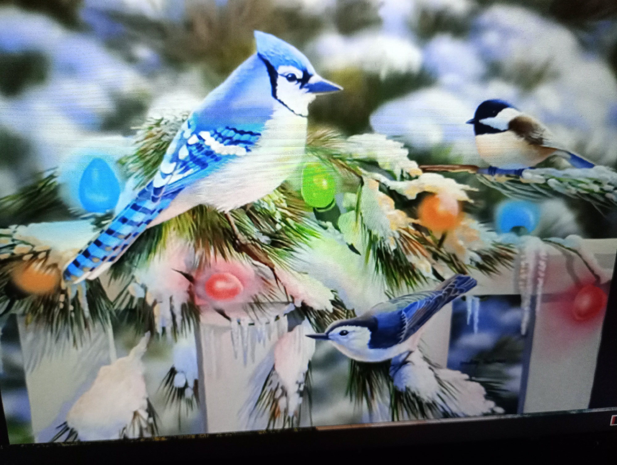 The image depicts a festive winter scene with three birds perched on snow-covered pine branches adorned with colorful Christmas lights. A vibrant blue jay is prominently featured in the upper left, its striking plumage contrasting with the soft glow of blue and green lights. To its right, a smaller bird, possibly a chickadee, is perched on a branch, its dark cap and white cheeks clearly visible. In the lower right, another bird, a white-breasted nuthatch, is captured in profile, looking towards the foreground. Icicles hang from the branches, and red and pink lights add to the holiday ambiance. The background is softly blurred, suggesting a shallow depth of field. The image does not contain any information about the city of Harmanli, Bulgaria.