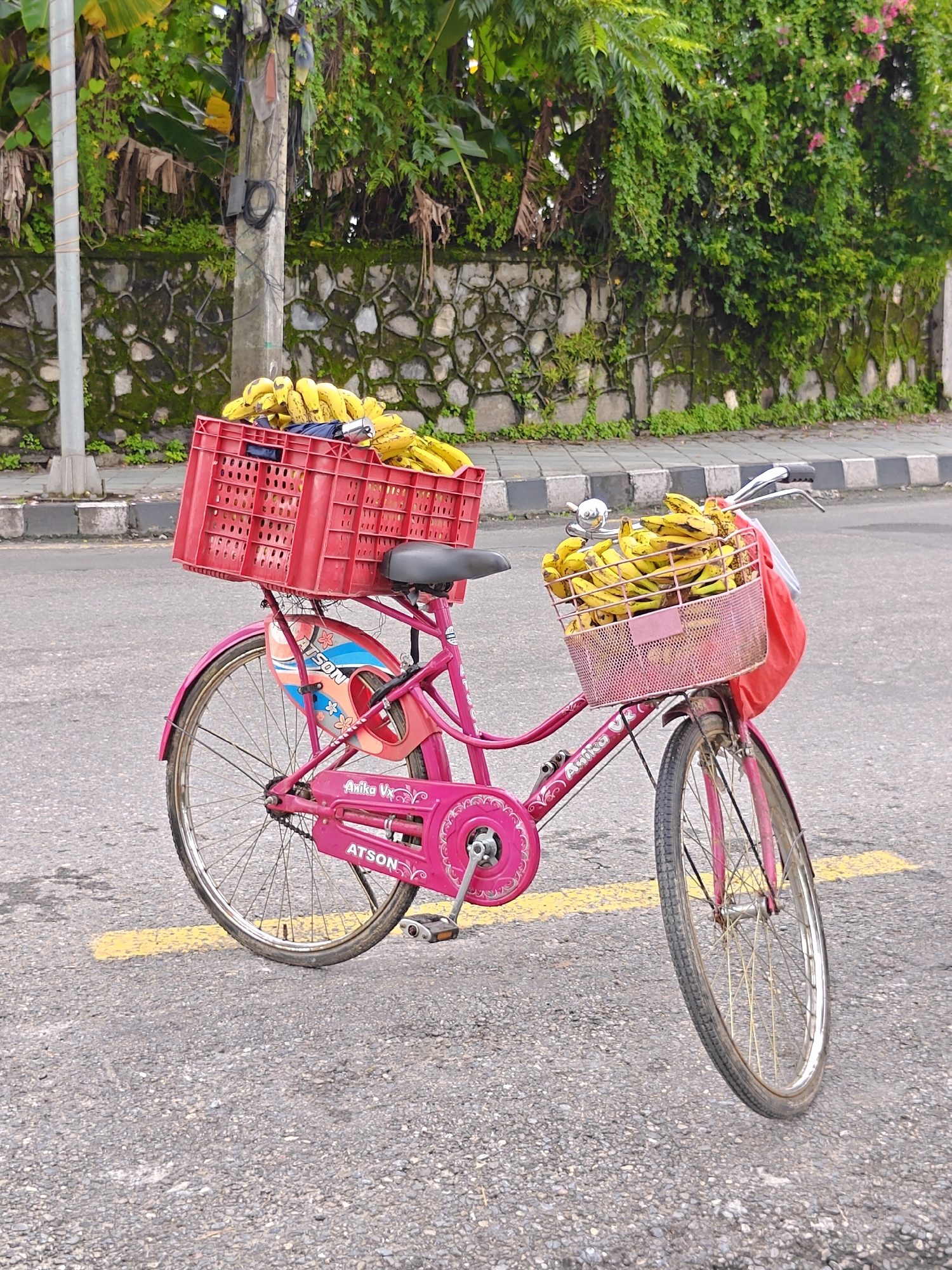 A pink bicycle laden with bananas is parked on an asphalt road with a yellow line marking a lane. The bicycle has a red crate of bananas attached to its rear rack and a pink basket on the handlebars filled with more bananas. A red bag hangs from the handlebars. The background features a stone wall covered in moss and overgrown with lush green vegetation. A concrete utility pole stands to the left of the bicycle, with wires attached. The scene is set in Pokhara, Nepal.