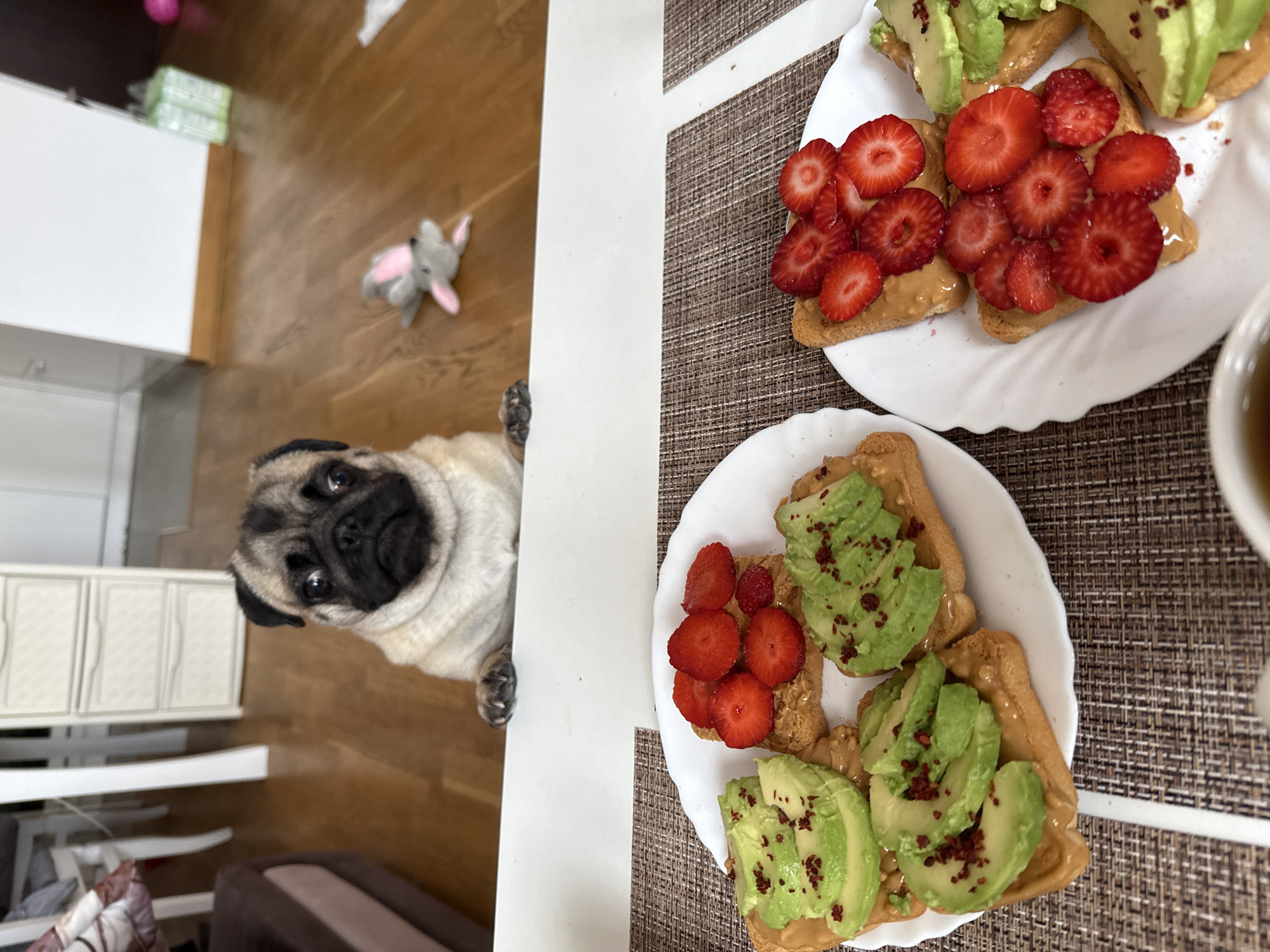 In an indoor scene, a pug dog is peeking over the edge of a table. The dog's front paws are resting on the table. In the foreground, two white plates of toast topped with peanut butter and fruit are visible. One plate has sliced strawberries, and the other has sliced avocado. The background shows a wooden floor, a white cabinet, and a couch.