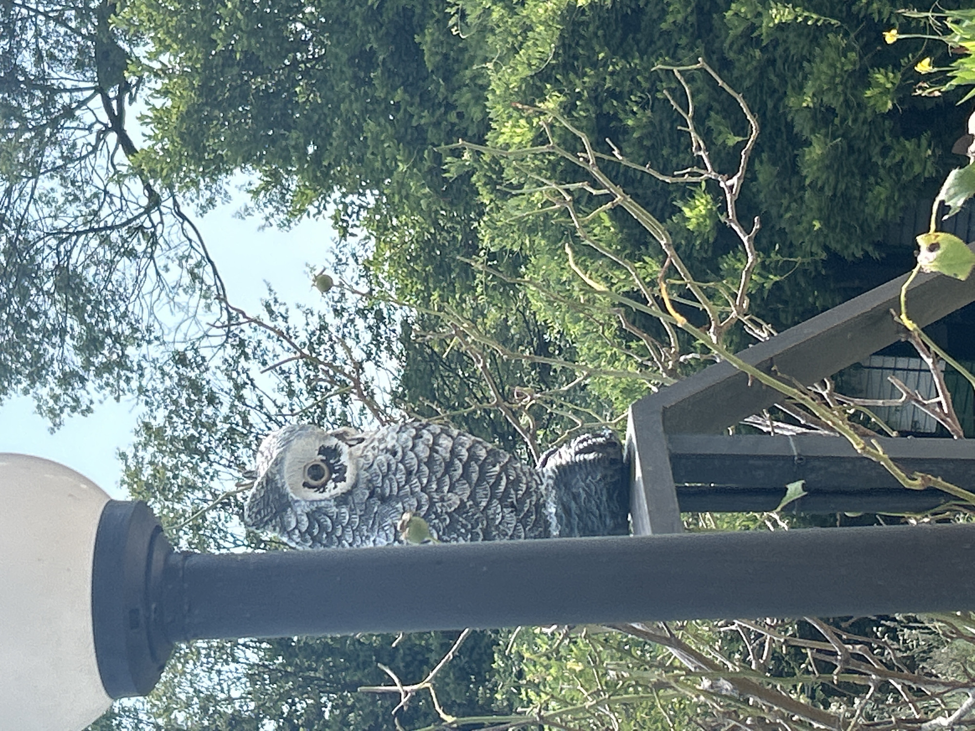 A decorative owl statue is perched on a dark metal railing, partially obscured by a dark grey lamp post in the foreground. The owl is grey and white with textured feathers and visible eye details. Behind the owl and railing, lush green foliage and trees dominate the background under a bright, clear blue sky. The scene appears to be outdoors, possibly in a garden or park setting in Verkhnevesyoloye, Russia. No people are visible in the image.