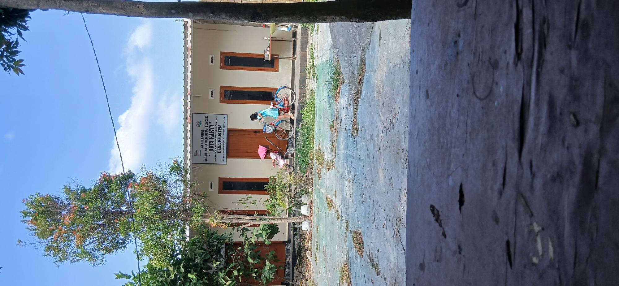 The image shows the front of a single-story building, likely a community center or office, in Desa Pejaten, Indonesia. The building is light-colored with brown doors and windows. A sign above the entrance reads "SEKRETARIAT BADAN USAHA MILIK DESA (BUMDES) 'DUA KARYA' DESA PEJATEN." To the left of the building, a young girl in a blue dress is standing next to a red and blue bicycle. To the left of the bicycle, a pink baby stroller is parked, and a baby is seated inside, wearing a pink bonnet. The ground in front of the building is a worn, light-colored paved area with patches of grass and debris. A large tree with green and reddish leaves stands to the left of the building, and a portion of another tree is visible on the right edge of the frame. The sky is blue with some white clouds. The overall scene suggests a quiet, daytime setting in a rural or suburban area.
