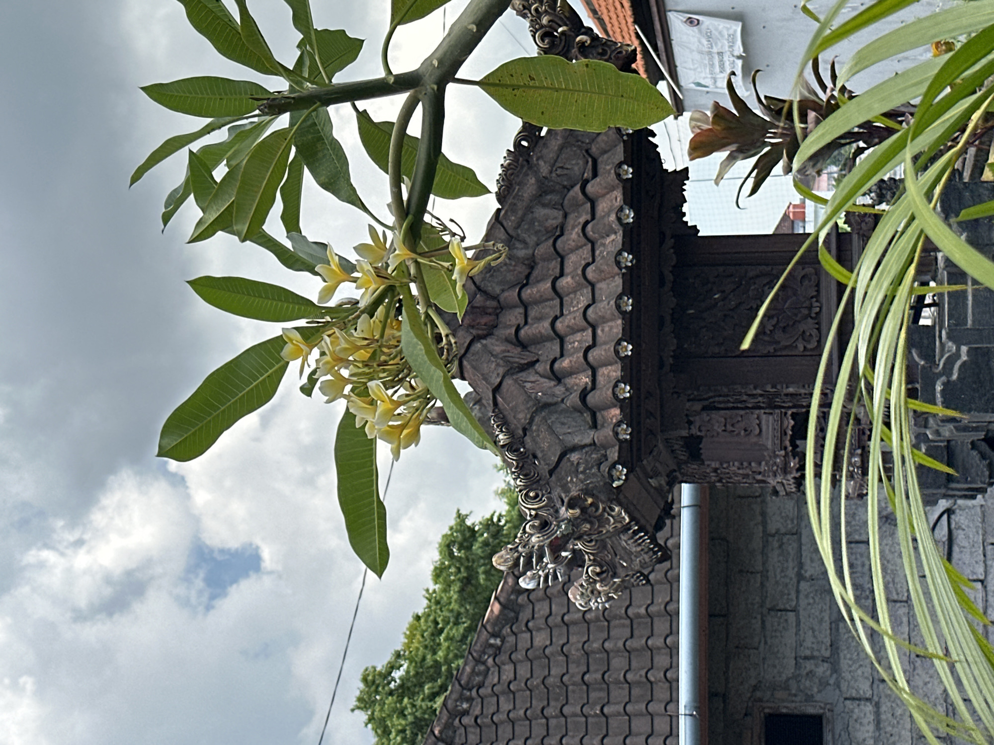 A horizontal, medium-shot photograph shows the corner of a structure in North Kuta, Indonesia, with flowers and plant life in the foreground. The structure is partially visible, with a brown, tiled roof, ornamental carvings, a drainpipe, and brickwork. Green leafy plants hang down from the upper right, and a flowering frangipani branch is in the upper left. The sky, with light-colored clouds, is visible in the background.