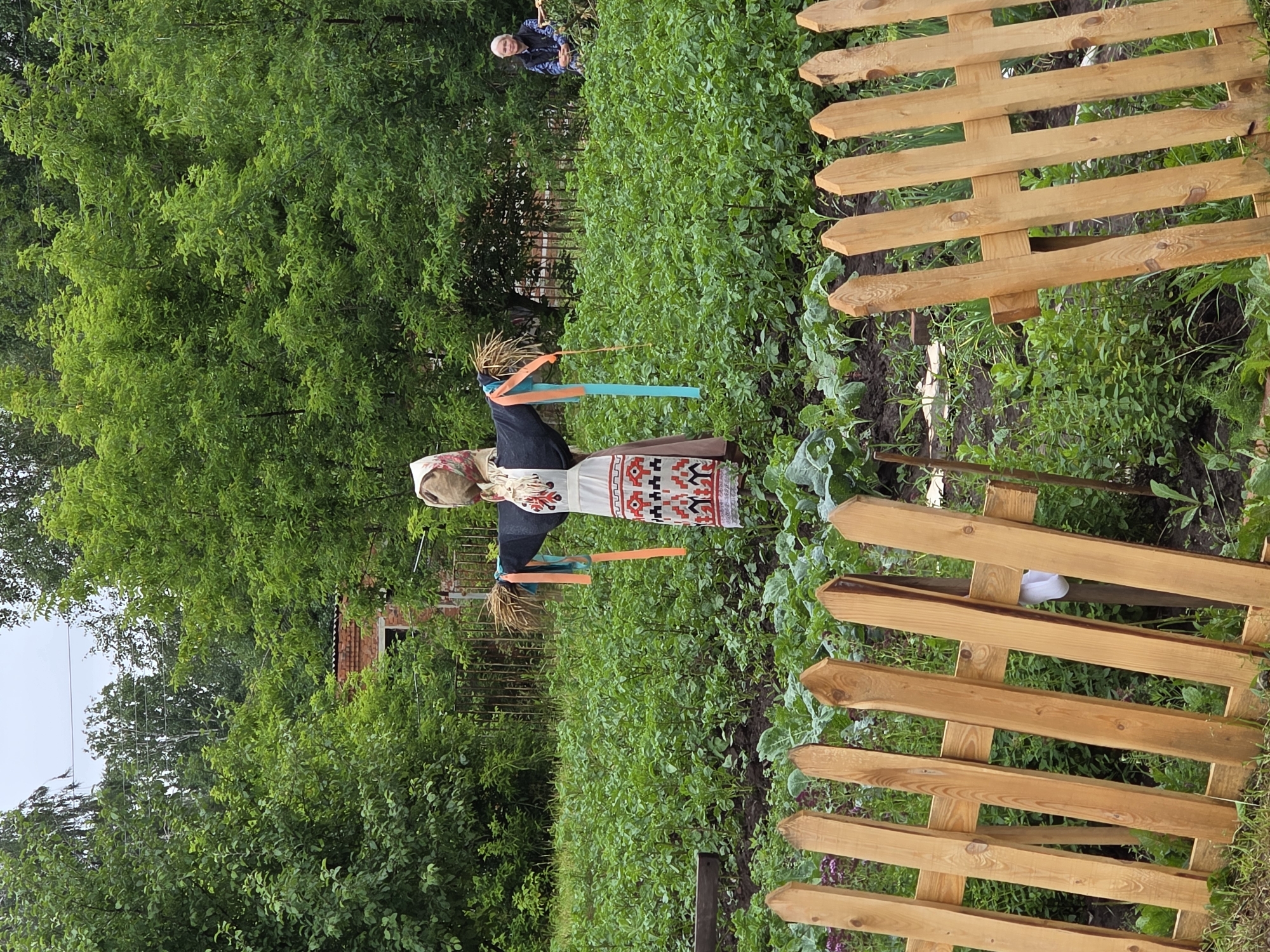 In a garden setting in the village of Starye Begi, Russia, a scarecrow stands prominently in the center of a field of green plants. The scarecrow is dressed in a dark top and a white apron with red and black embroidered patterns. Colorful ribbons, orange and teal, are attached to its arms. The garden is enclosed by a rustic wooden fence in the foreground. In the background, lush green trees form a backdrop, and a brick building is partially visible through the foliage. To the right of the scarecrow, an elderly woman with white hair sits on a bench, observing the garden. The sky is overcast, suggesting a cloudy day.