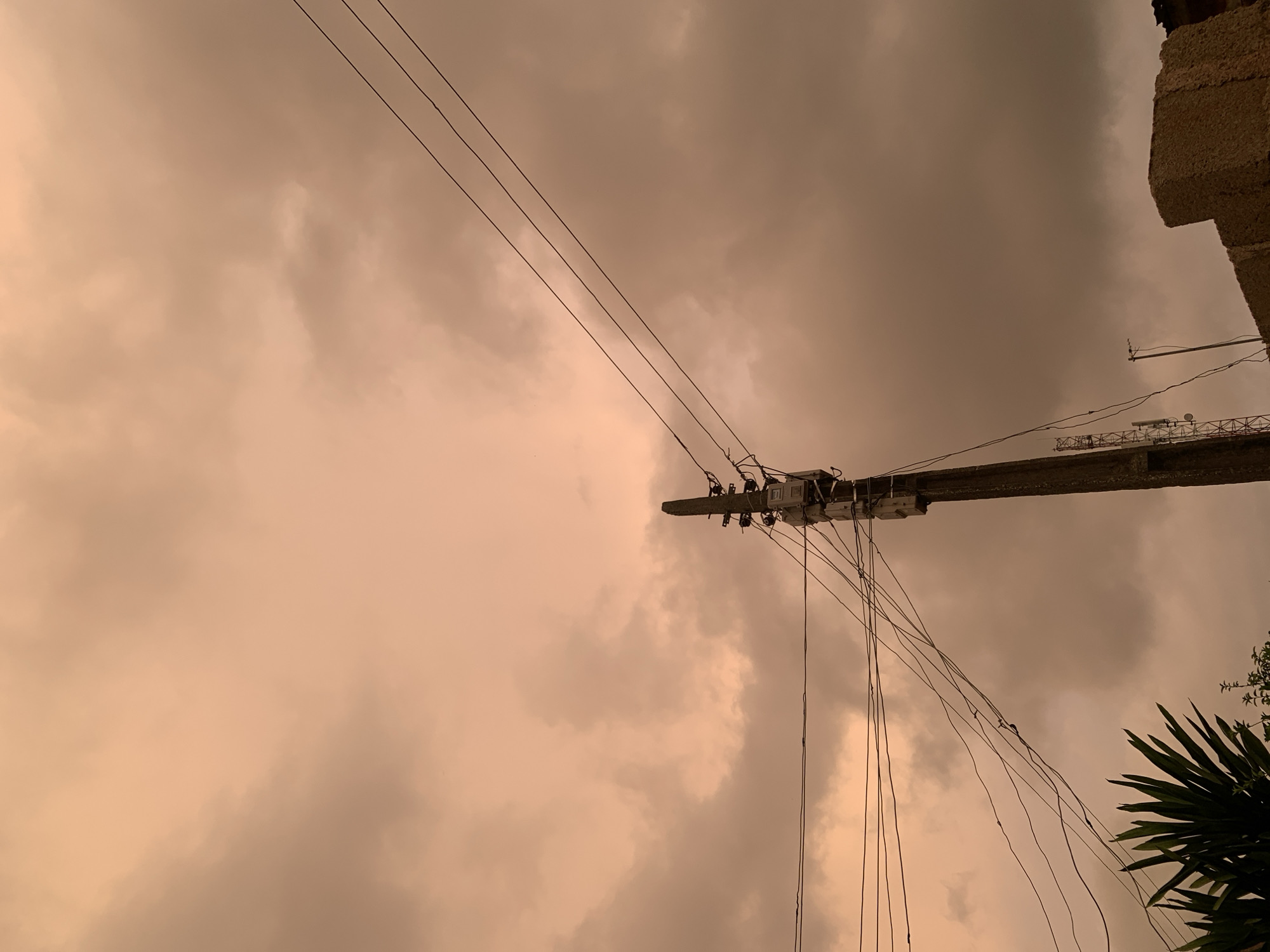 An outdoor, low-angle, medium shot captures a utility pole in the foreground against a sky filled with muted, orange-toned clouds. The pole, which appears to be made of concrete, stands on the right side of the frame. It is adorned with multiple sets of electrical wires that extend across the sky, crisscrossing and draping at various angles. Some of these wires connect to insulators mounted on the pole. In the lower left corner, a portion of a green, leafy plant is visible, its fronds reaching upwards. The background is dominated by the cloudy sky, which is illuminated with a soft, diffused light, suggesting either dawn or dusk. A brick wall structure is partially visible at the bottom right, and a distant cellular tower is discernible on the left side of the image, behind the utility pole. The overall scene is one of urban infrastructure set against a somewhat dramatic sky.