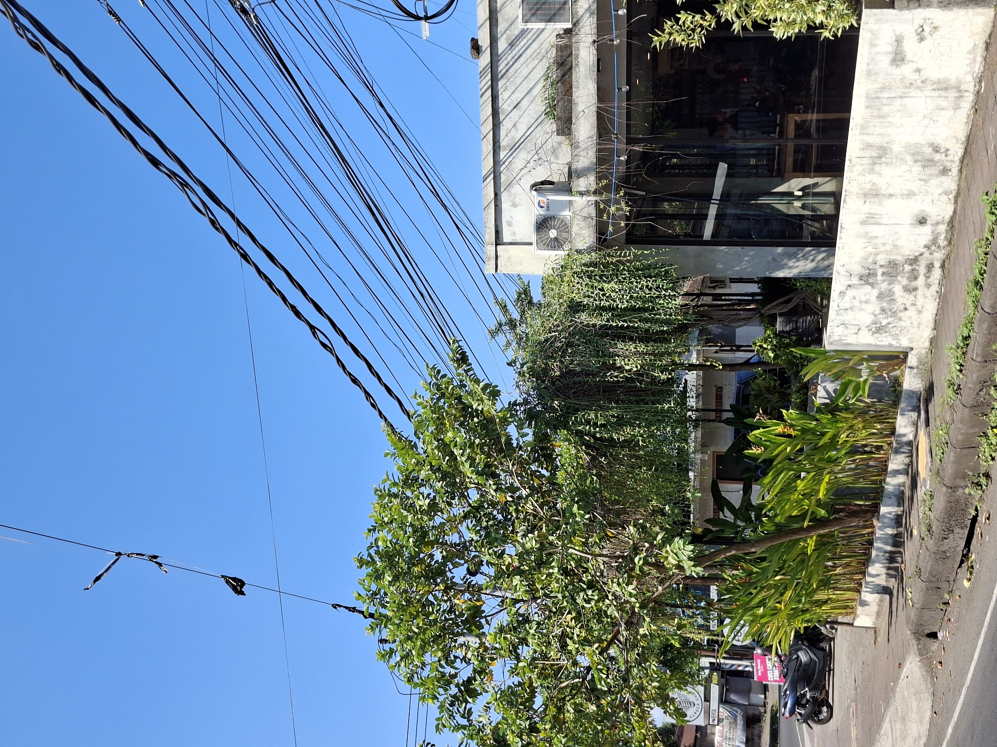 The image captures a street scene in Blahbatuh, Indonesia, under a clear blue sky. In the foreground, a concrete sidewalk runs alongside a road, with a row of lush green plants and trees bordering a building. A dark-colored motorcycle is parked on the sidewalk. The building appears to be a commercial establishment with large glass windows, and an air conditioning unit is visible on its exterior wall. Above the building and trees, a dense network of black electrical wires crisscrosses the sky. Some of the wires appear to have small, black, flag-like attachments. The building is made of concrete and has a somewhat weathered appearance. The foliage is dense and vibrant, suggesting a tropical climate. The overall impression is a bustling urban environment with a strong presence of nature.