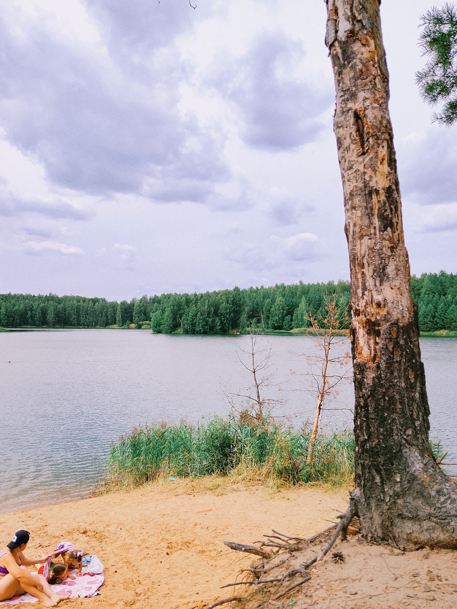 The image depicts a lakeside scene on a cloudy day. In the foreground, a large, weathered tree trunk dominates the right side, its bark textured and rough. To the left of the tree, a sandy beach is visible, where a woman wearing a purple bikini and a black baseball cap is seated on a pink blanket. She is interacting with two young children, one of whom is partially obscured. The children appear to be playing with toys or the blanket. Beyond the beach, a calm lake stretches out, with a dense green forest bordering its far side. The sky is filled with grey and white clouds. A small object, possibly a person in the water, is visible on the left side of the lake. The location is identified as Noviy, Russia.