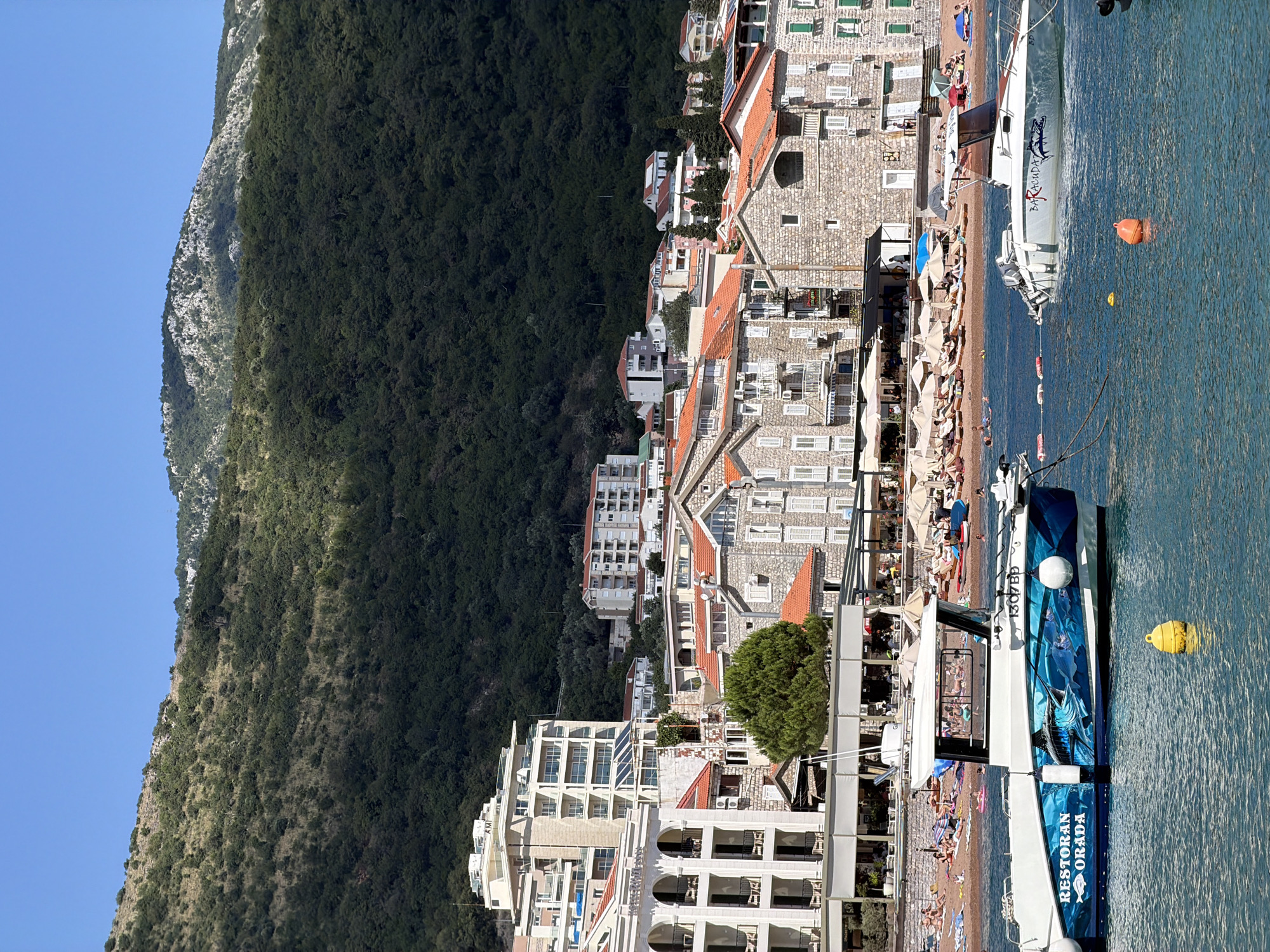 The image shows a view of the Petrovac centar, Montenegro, on a sunny day. In the foreground, two boats are moored in the clear blue water. The boat on the left is white with blue graphics depicting a marlin and the text "RESTORAN ORADA". The boat on the right is also white and has the text "BARACUDA" on its side. Buoys, one yellow and one orange, float in the water.
Behind the boats, a sandy beach is visible, lined with numerous lounge chairs and umbrellas. Several people are scattered across the beach, some sunbathing, others wading in the water. Buildings with red-tiled roofs and stone facades line the waterfront, with modern apartment buildings and hotels rising behind them. The town is nestled against a steep, forested hillside that slopes up to a clear blue sky. The foliage on the hill is dense and green, with patches of lighter green indicating sparser vegetation or rockier terrain higher up. The overall impression is one of a vibrant coastal resort town.
