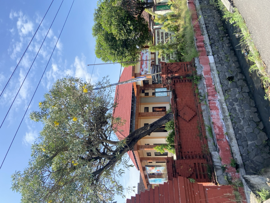 The image shows a red brick wall with a stone retaining wall in front of it. The wall is a fence surrounding a building with a red roof, which is mostly obscured by a large tree with yellow flowers. The tree is growing in the foreground and is the focus of the image. It appears to be a type of trumpet vine. There is another tree to the right of the building, and a few green plants growing around the red brick wall. There are electrical wires in the background. The building has a sign in front of it that reads, "KECAMATAN MOJOSARI." The image was taken at the coordinates -7.503, 112.54 in Mojosari, Indonesia.