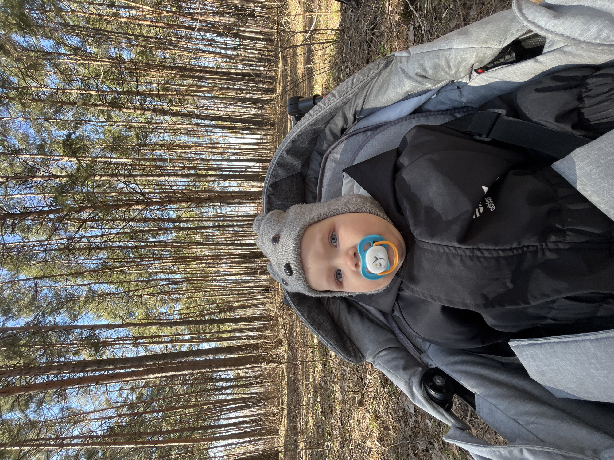 A baby wearing a grey hat and a black jacket is in a grey stroller. The baby has a blue and orange pacifier in their mouth. The stroller is on a dirt path in a forest with tall, thin trees. The location is Chaikovsky, Russia.
