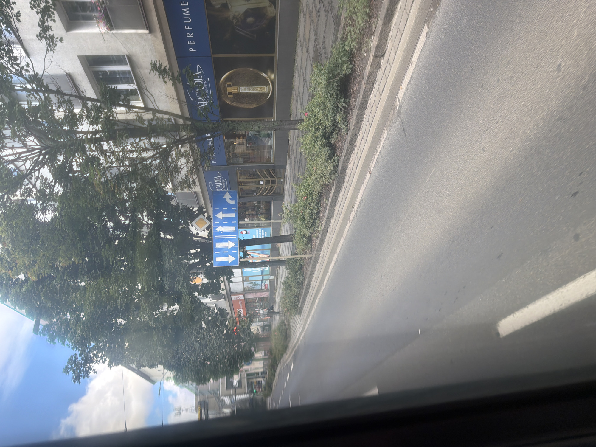 The image shows a street scene in Szczecin, Poland, on a cloudy day. The view is from inside a vehicle, looking out towards the right. In the foreground, the asphalt road is visible with white lane markings. To the right of the road, a sidewalk with brick paving is lined with a planter box containing green bushes and some pink flowers. Behind the planter box, a building with a light-colored facade stands. The building has several windows and a balcony. Storefronts with large windows are visible at ground level, displaying signage for "ARCADIA PERFUME" and "CADIA". A tall tree with green foliage grows in front of the building, partially obscuring it. There is a traffic sign with two downward-pointing blue arrows on a white background, indicating a lane split or redirection. The sky is blue with some white clouds. The overall impression is of a typical urban street with commercial establishments.
