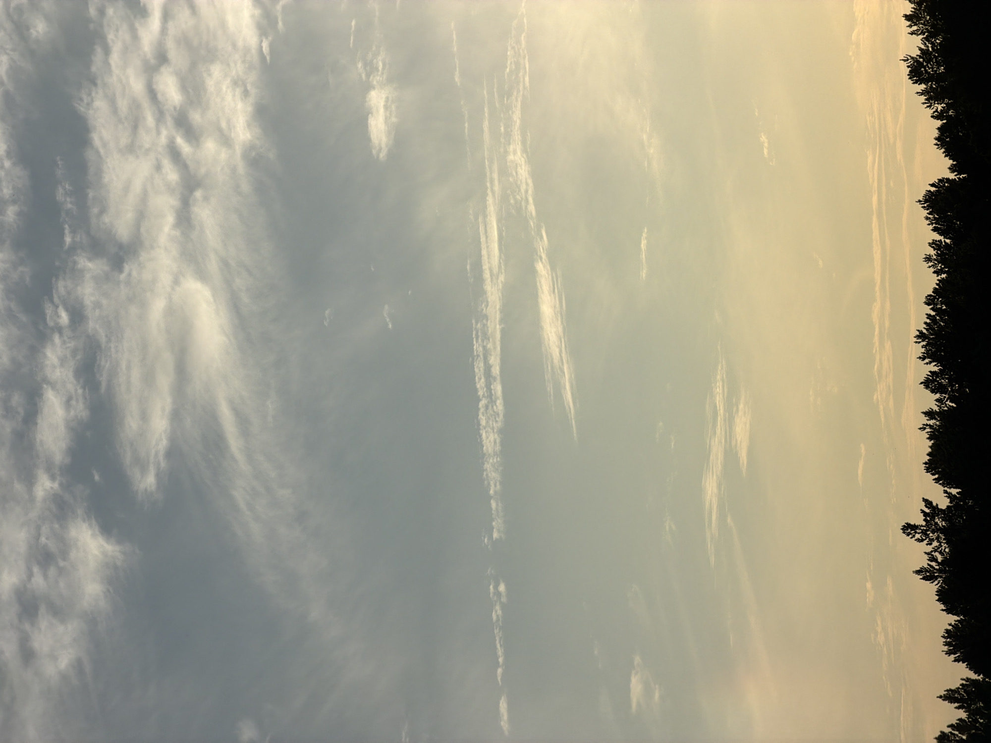 The image captures a treeline silhouetted against a sky with scattered clouds. The sky transitions from a pale blue at the top to a warm yellow hue near the horizon, suggesting either sunrise or sunset. The clouds are thin and wispy, with some appearing as streaks across the sky. The trees in the foreground are dark and dense, forming a jagged line against the lighter background. No people or specific landmarks are visible that would indicate a precise location within Tsiolkovsky, Russia. The scene is natural and serene, likely depicting an outdoor setting on the outskirts of the city.
