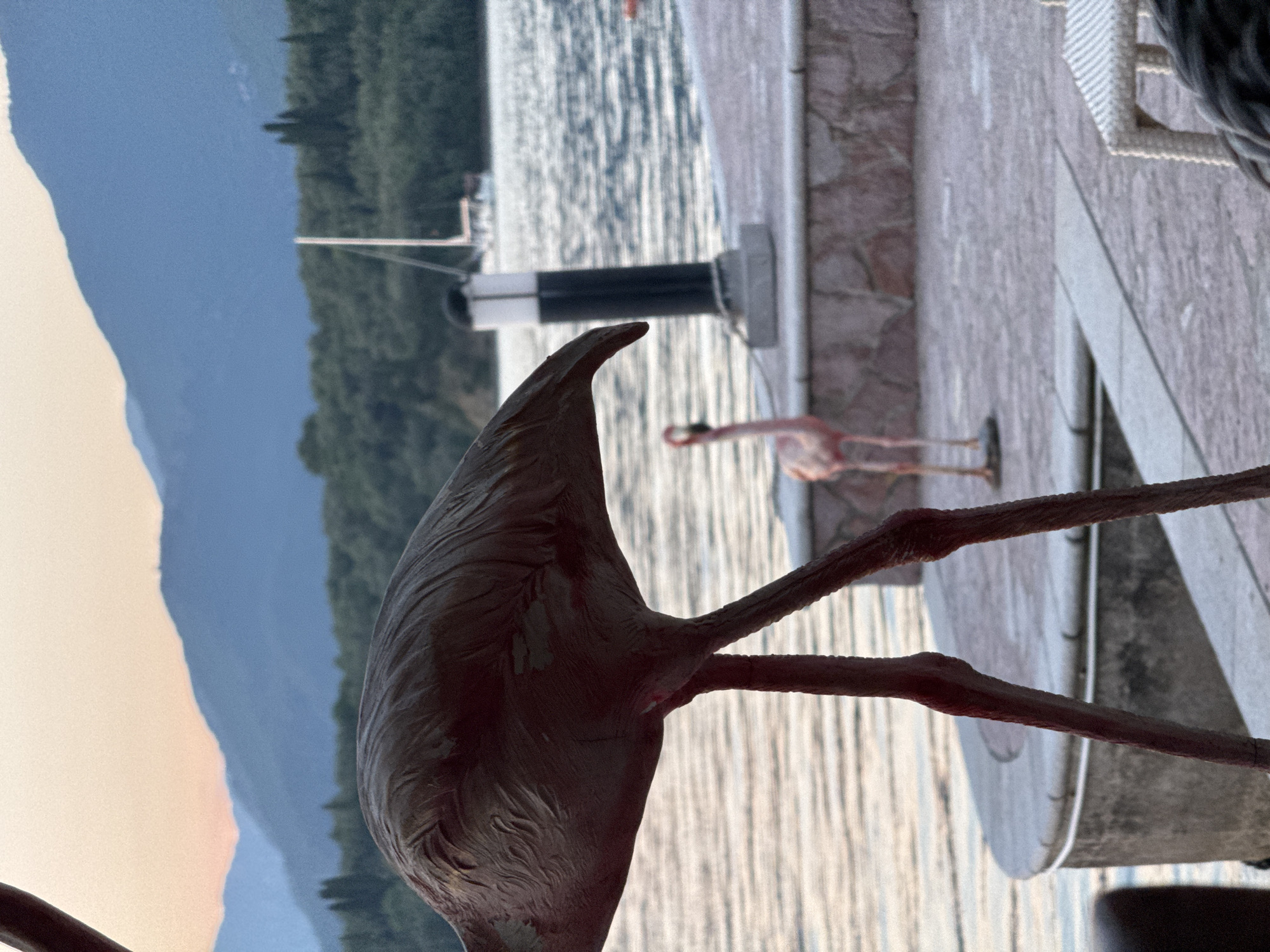 The image depicts a bronze flamingo statue in the foreground, with a view of the Bay of Kotor near Bogišići, Montenegro, in the background. The flamingo statue is facing left, with its head prominently featured. Behind the statue is a body of water, likely the bay. On the right side of the image, there is a paved walkway with light-colored stone. A lighthouse or navigational aid can be seen in the background. Further in the background are mountains covered with green vegetation, and a lighter, almost faded sky at the left edge of the frame. Another smaller pink flamingo statue is also standing on the walkway.