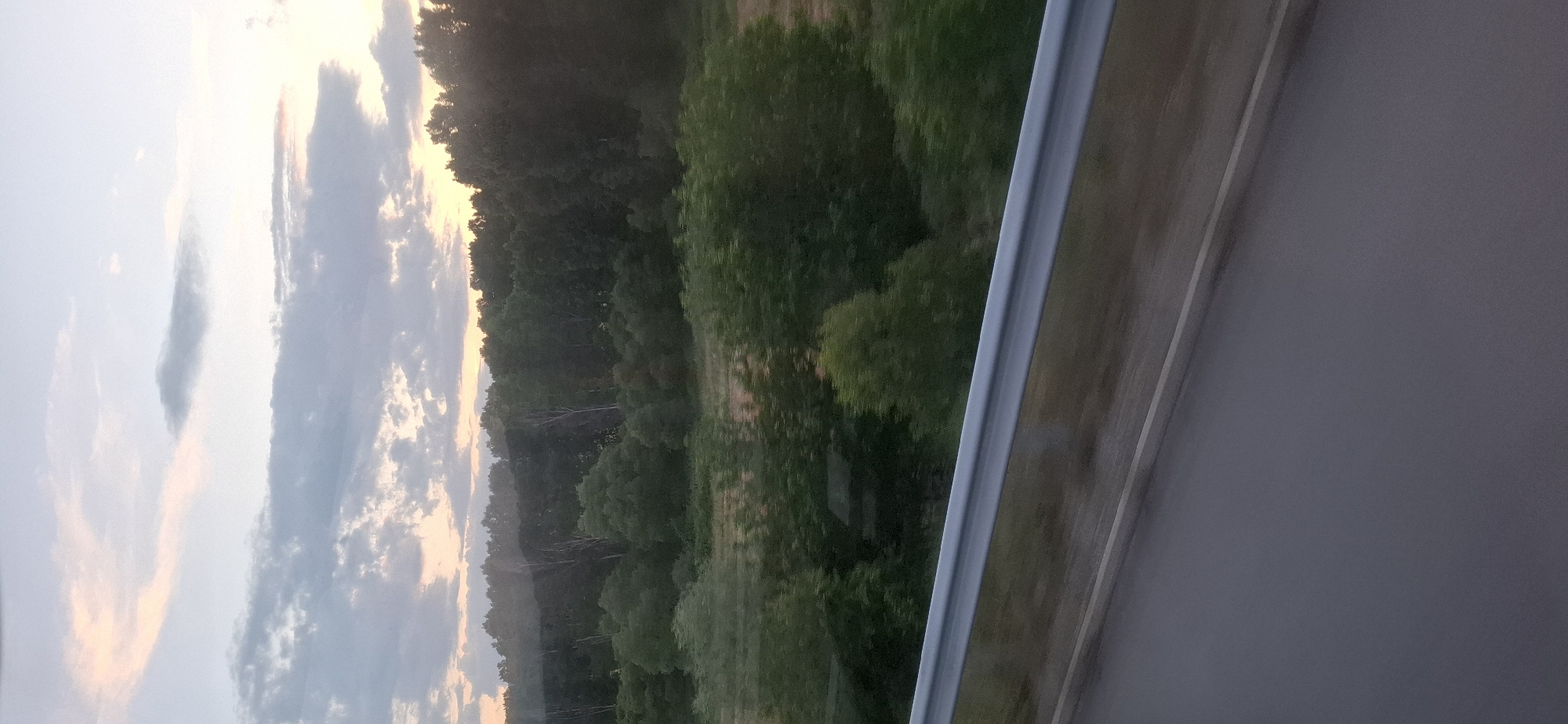 The image depicts a landscape view from a moving vehicle, likely a train or car, at dusk in the city of Blajievo, Bulgaria. In the foreground, a metal guardrail runs horizontally across the lower portion of the frame, separating the viewer from the scene. Beyond the guardrail, a paved surface, presumably a road or track, is visible. The midground is filled with a dense forest of green trees, with varying shades and textures indicating different species and heights. Some lighter-colored trees, possibly birch, stand out amongst the darker foliage. The background features a pale sky with scattered clouds, tinged with hues of pink and orange from the setting sun. The overall impression is one of natural beauty viewed from a transient perspective. There are no people or specific actions or interactions visible in the image.