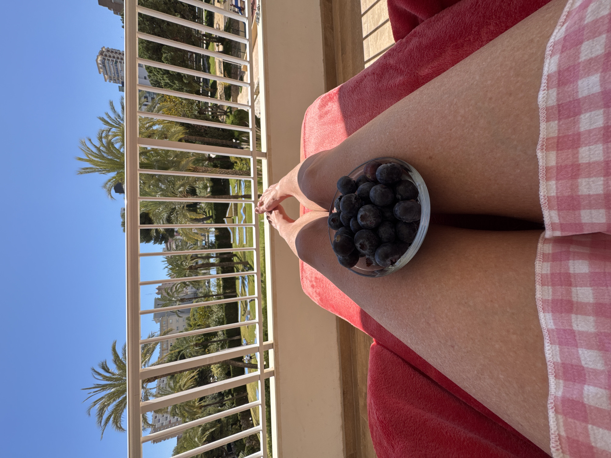 A woman is sitting on a red towel, on a balcony, with a clear glass bowl of blueberries resting on her lap. The sky is blue and there are palm trees, a green lawn, and tall buildings in the background. The woman is wearing a pink-and-white checkered garment. The balcony has a white railing. The location is in an urban setting.