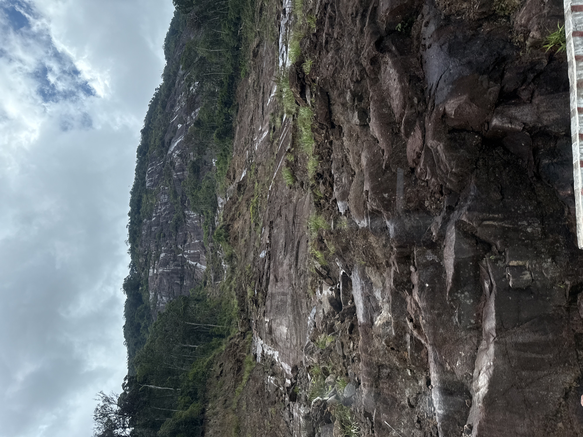 The image depicts a landslide on a steep, rocky mountain slope in Nam Khanh Vinh, Vietnam. The scene is dominated by a vast expanse of exposed rock and soil, with evidence of recent geological activity. The mountain itself is covered in a mix of dense green vegetation and bare rock faces. Streaks of lighter-colored material, likely sediment or mineral deposits, run down the mountain, indicating water flow or past landslides. Scattered rocks and debris are visible across the slope, suggesting a significant upheaval of the terrain. The sky above is overcast with dramatic clouds, adding to the somber atmosphere of the scene. No people or specific structures are identifiable in the image, highlighting the raw power of nature and the impact of the landslide on the natural environment.