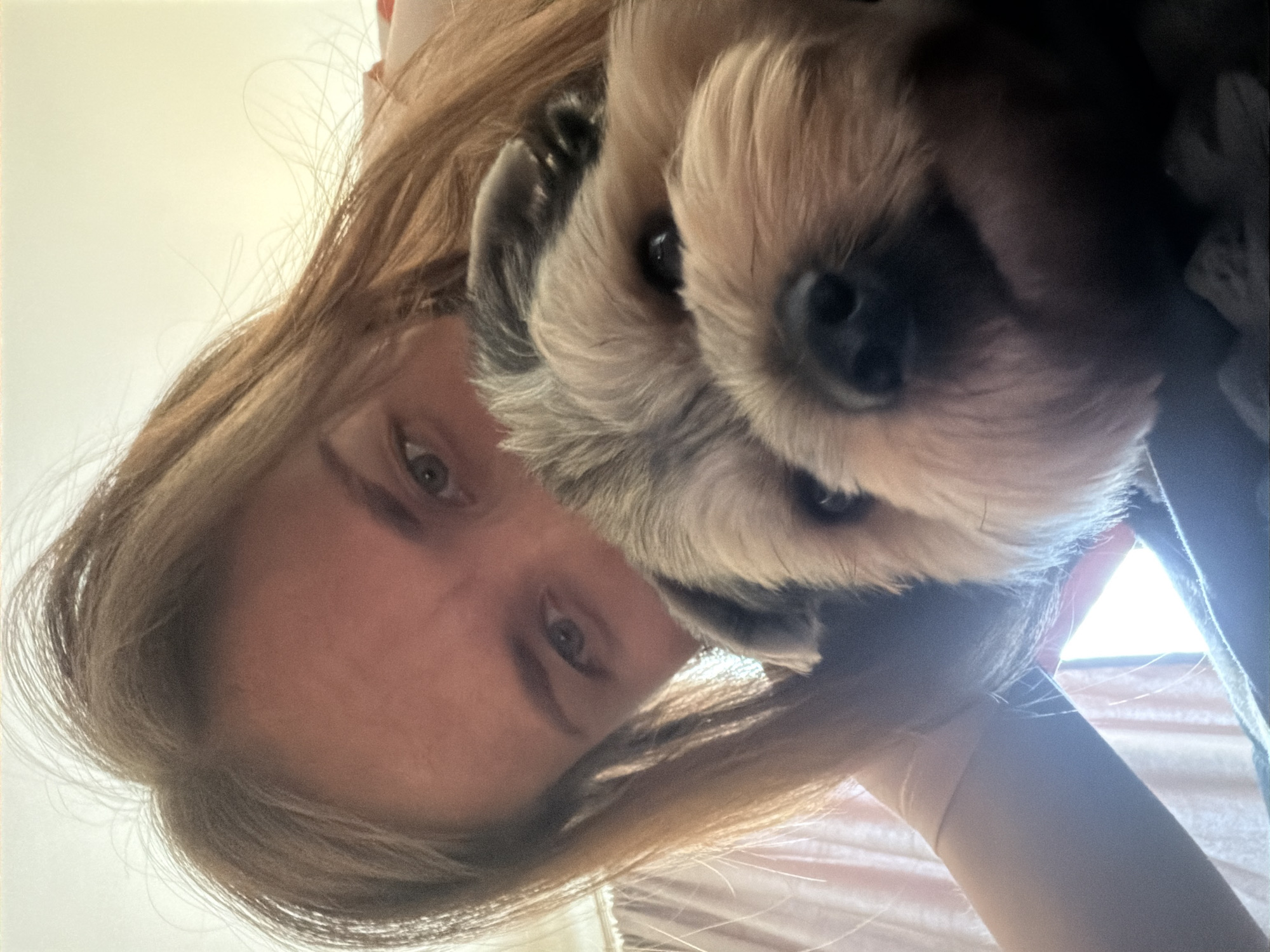 This is a close-up, low-angle selfie of a woman and a small dog. The woman has long, light brown hair and is looking at the camera with her eyes partially obscured by her hair and the dog. The dog, a small breed with tan and grey fur, is in the foreground, with its face filling most of the frame. The dog's nose and one eye are clearly visible. The background appears to be indoors, with a pinkish curtain and a bright light source visible. The image was taken in Tambov, Russia, likely in a residential setting.