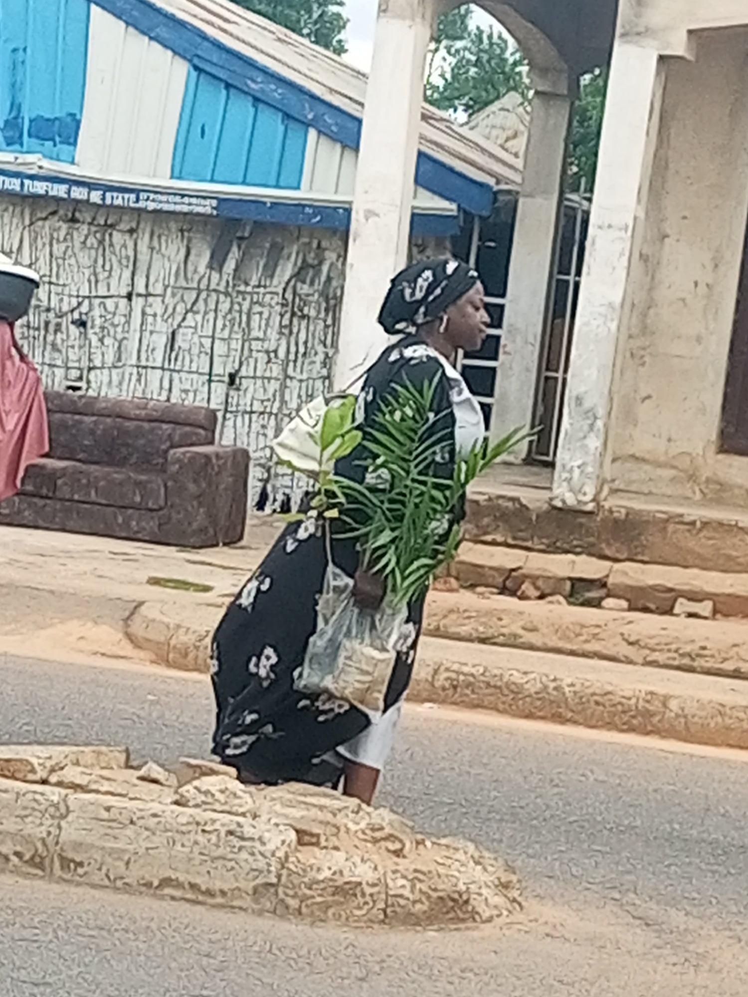 In the city of Garko, Nigeria, a woman wearing a black and white patterned dress and a black headscarf walks along a dirt road, carrying a potted palm plant. The woman, who appears to be in her 30s or 40s, is walking from left to right across the frame. She is also carrying a white bag in her left arm. In the background, there is a brown sofa and a building with a corrugated iron roof. The building has a blue and white facade. The area appears to be a market or a residential street. The overall impression is one of everyday life in a Nigerian city.