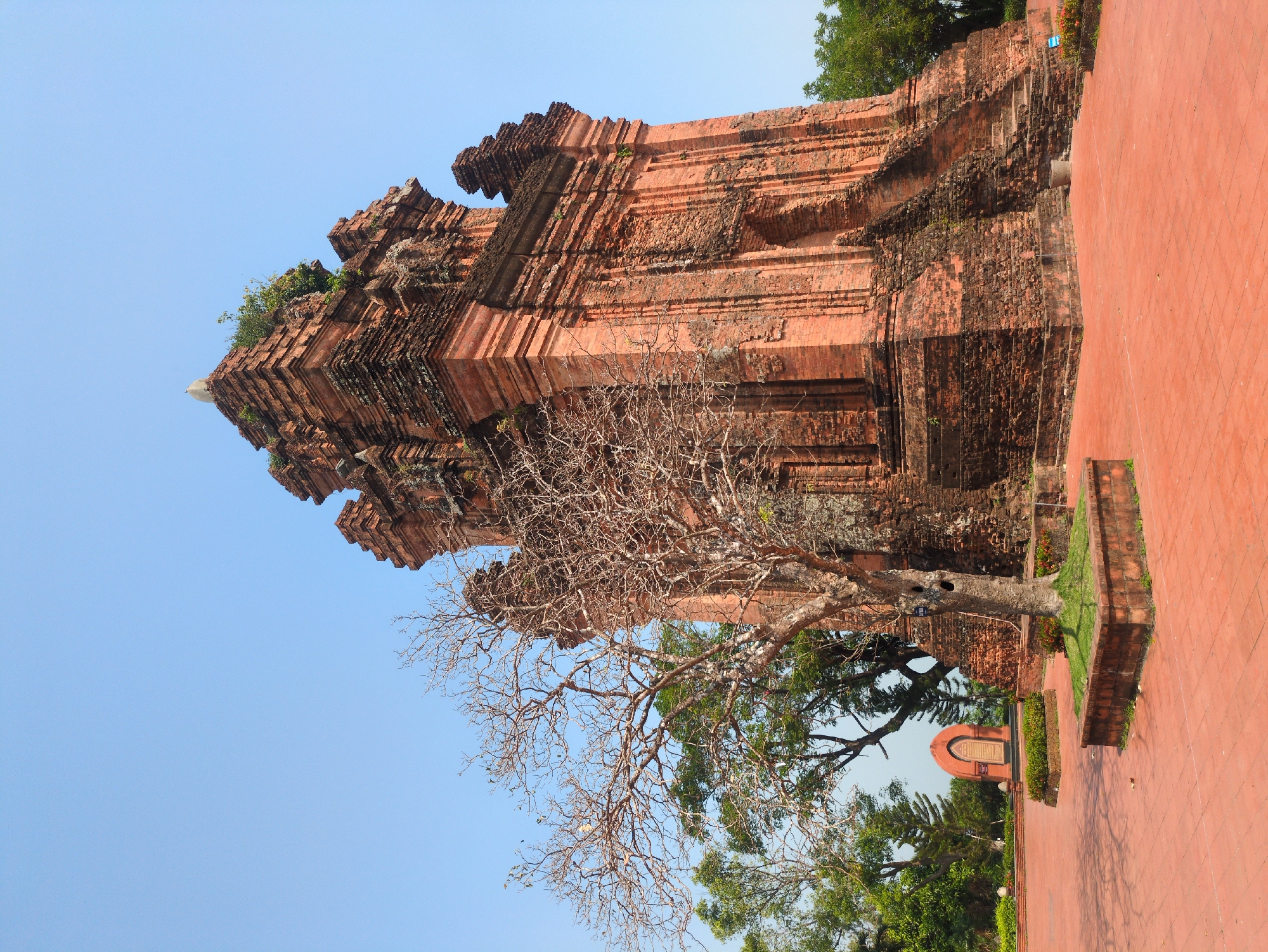 The image captures a red brick Cham tower in Tuy Hòa, Vietnam. The tower stands tall against a clear blue sky, with a bare tree in the foreground. To the right of the tower is a red brick tiled walkway and a low wall with grass. Other trees and foliage are visible in the background, partially obscuring a building with an arched opening.