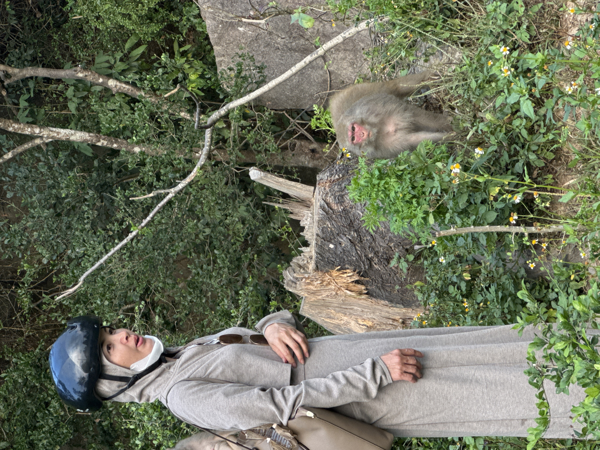 The image shows a woman wearing a helmet and a gray hooded outfit, standing next to a tree stump in a densely vegetated area. A monkey is lying on the ground near the tree stump. The location is possibly in Đà Nẵng, Vietnam, though there's no definitive landmark to confirm the exact location.