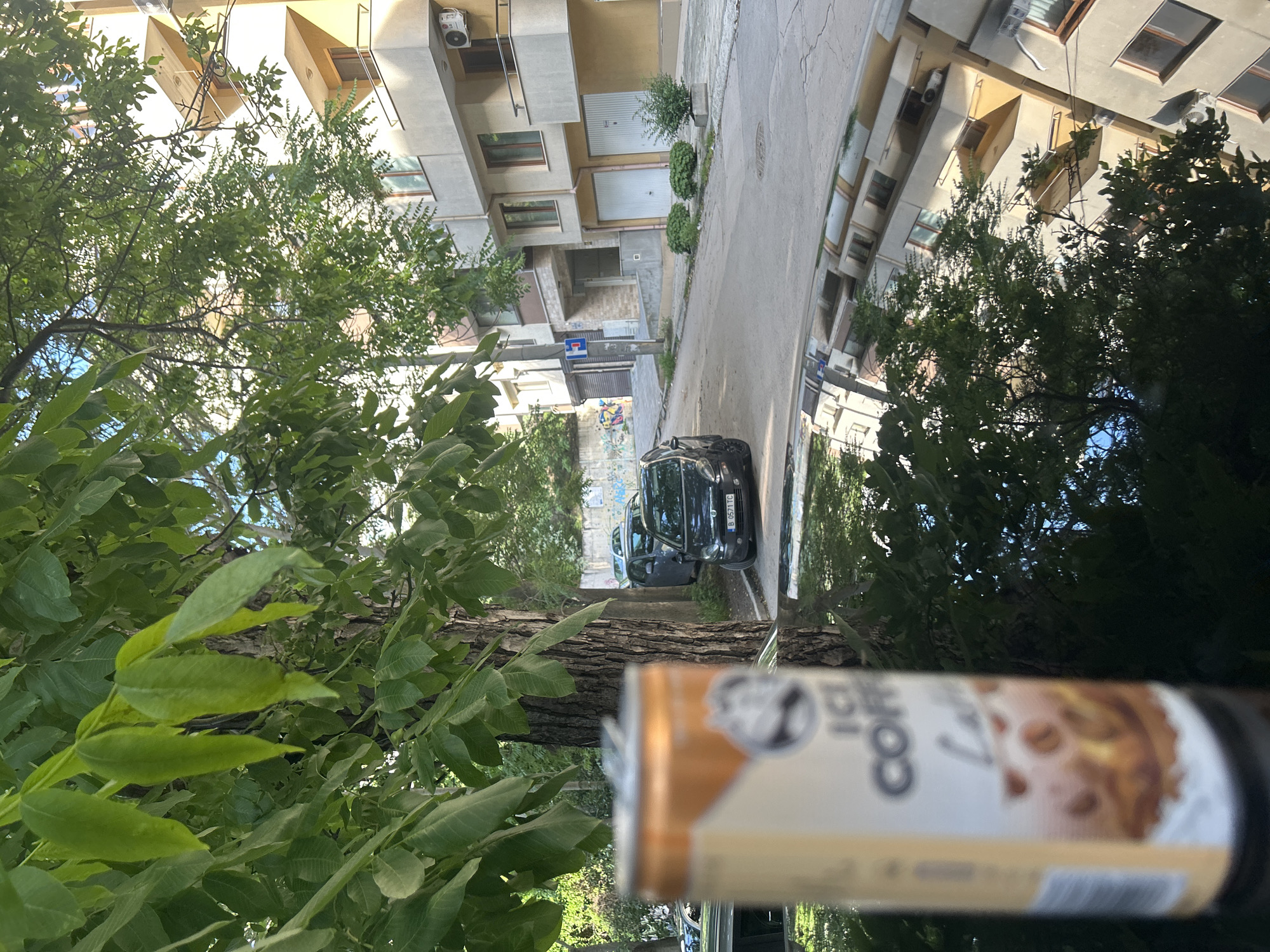 The image depicts an urban street scene in Varna, Bulgaria, under bright daylight conditions. In the immediate foreground, a metallic can, out of focus, is positioned upright on a highly reflective, dark surface, likely the hood or roof of a vehicle. The can's label is partially visible, displaying "ICE COFFEE Latte" with an illustration of coffee beans. The reflective surface shows clear inverted reflections of the surrounding trees, buildings, and sky.
Dominating the left side of the midground is the thick, textured brown trunk of a large tree, extending upwards with a canopy of vibrant green foliage that covers a significant portion of the upper left frame. A narrow, asphalt street, with visible cracks and irregularities, extends into the background, sloping gently uphill and curving slightly to the left.
Parked on the right side of the street, facing away from the viewer, is a black Fiat Punto with a visible Bulgarian license plate "B 0571 TC". Another dark-colored vehicle is parked further up the street, partially obscured by trees. A blue square street sign with a white arrow, indicating a direction or restriction, is mounted on a pole to the left of the street.
The background consists of multi-story residential buildings with light-colored facades (cream, beige, and light brown), featuring numerous windows, some with wooden frames, and small balconies equipped with railings. Several external air conditioning units are mounted on the building walls. On the lower level of a building on the right, two white garage doors are visible. Further up the street on the left, a concrete retaining wall is covered in colorful graffiti. Dense green foliage and trees are present throughout the background, with patches of clear blue sky visible through the tree canopies. No individuals are present in the scene.