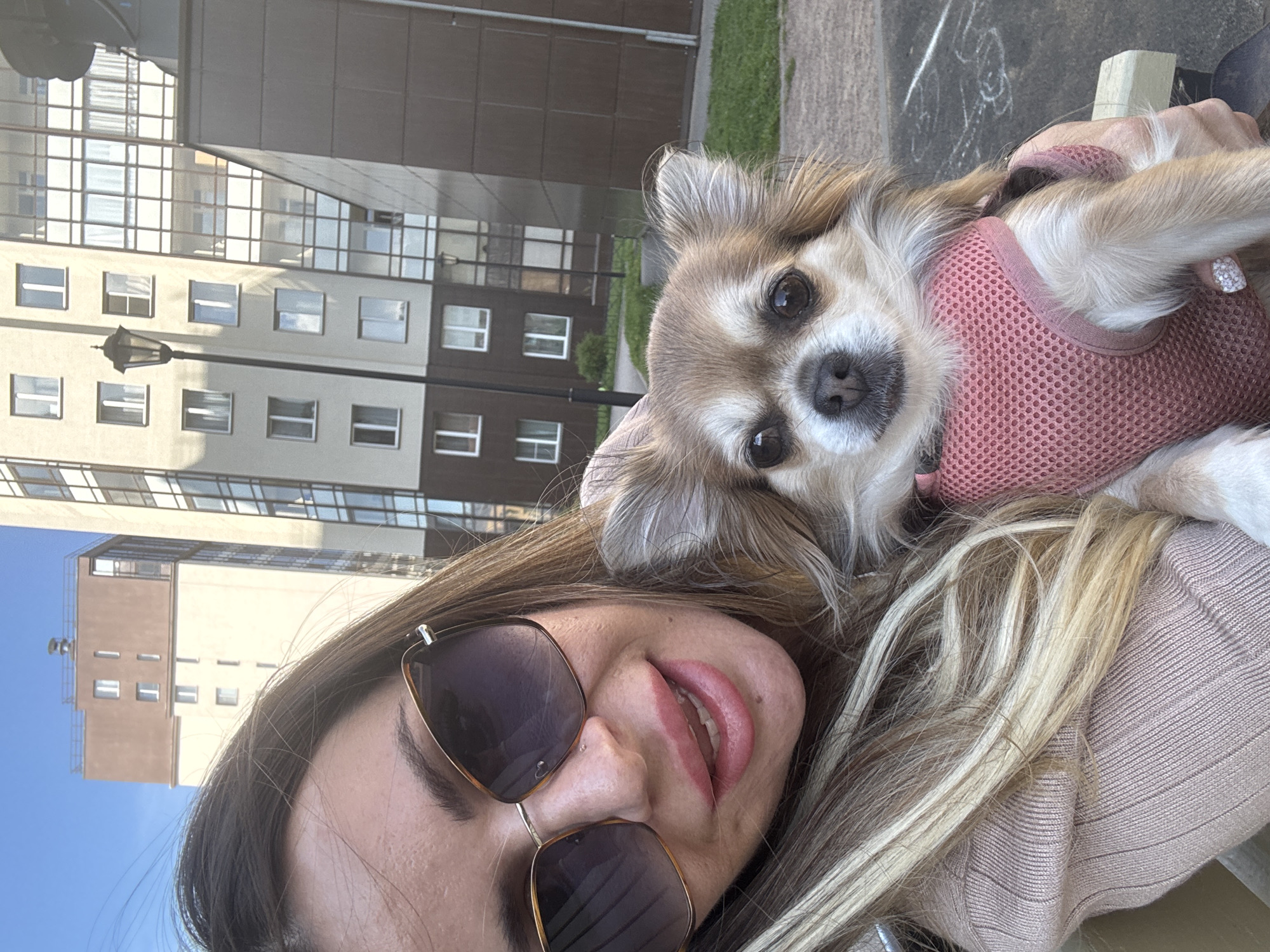 The image is a close-up, informal selfie featuring a woman and a small dog in an urban outdoor setting, identified as Saint Petersburg, Russia. The shot is taken from a slightly elevated angle, looking down.
In the foreground, partially visible, is a woman with long brown hair featuring prominent blonde highlights. She wears dark, stylish sunglasses, and her lips are slightly parted. She is dressed in a light-colored, possibly beige or pale pink, ribbed top.
Nestled closely beside her, occupying a significant portion of the frame, is a small, long-haired dog. The dog, likely a Chihuahua or similar breed, has fluffy fur in shades of light brown, white, and blonde, with dark, expressive eyes and a black nose. It is wearing a vibrant pink mesh harness. The dog looks directly at the camera with a calm and gentle expression.
The background reveals modern multi-story buildings, characteristic of an urban environment. Some buildings have large, grid-patterned windows reflecting the sky, while others show more standard rectangular windows. A vintage-style black lamppost is visible against one building facade. Patches of green grass and paved areas are also present. The sky is clear and blue, indicating bright daylight and good weather. The scene conveys a relaxed interaction between the woman and her pet on a sunny day in the city. No visible text is present in the image.
