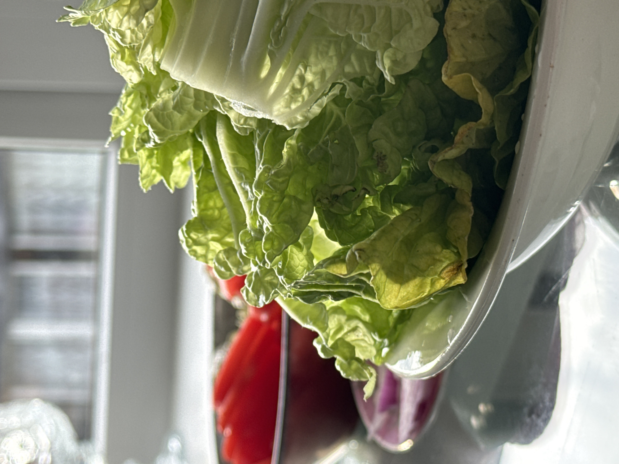 This is a close-up, vertically oriented, over-the-shoulder shot of a bowl of fresh produce, likely for a meal preparation. The primary subject is a cluster of vibrant green Napa cabbage leaves, some of which show slight wilting at the edges, indicating freshness and potential use in a salad or cooked dish. Behind the cabbage, the top of a bright red bell pepper is visible, along with hints of purple from what appears to be red onion. The produce is contained within a white ceramic bowl, tilted to reveal the contents and the inner surface.
The lighting suggests it's daytime, with natural light casting shadows and highlighting the textures of the leaves. The background is blurred but suggests an indoor setting with what could be a window or a cabinet, hinting at a kitchen environment. The focus is tightly on the food, with the background elements providing context without being distracting.
The image does not depict any people or specific events. The overall impression is one of domesticity and healthy eating. The location context provided, Поназырево, Russia, suggests a home setting in that region. There is no visible text in the image.