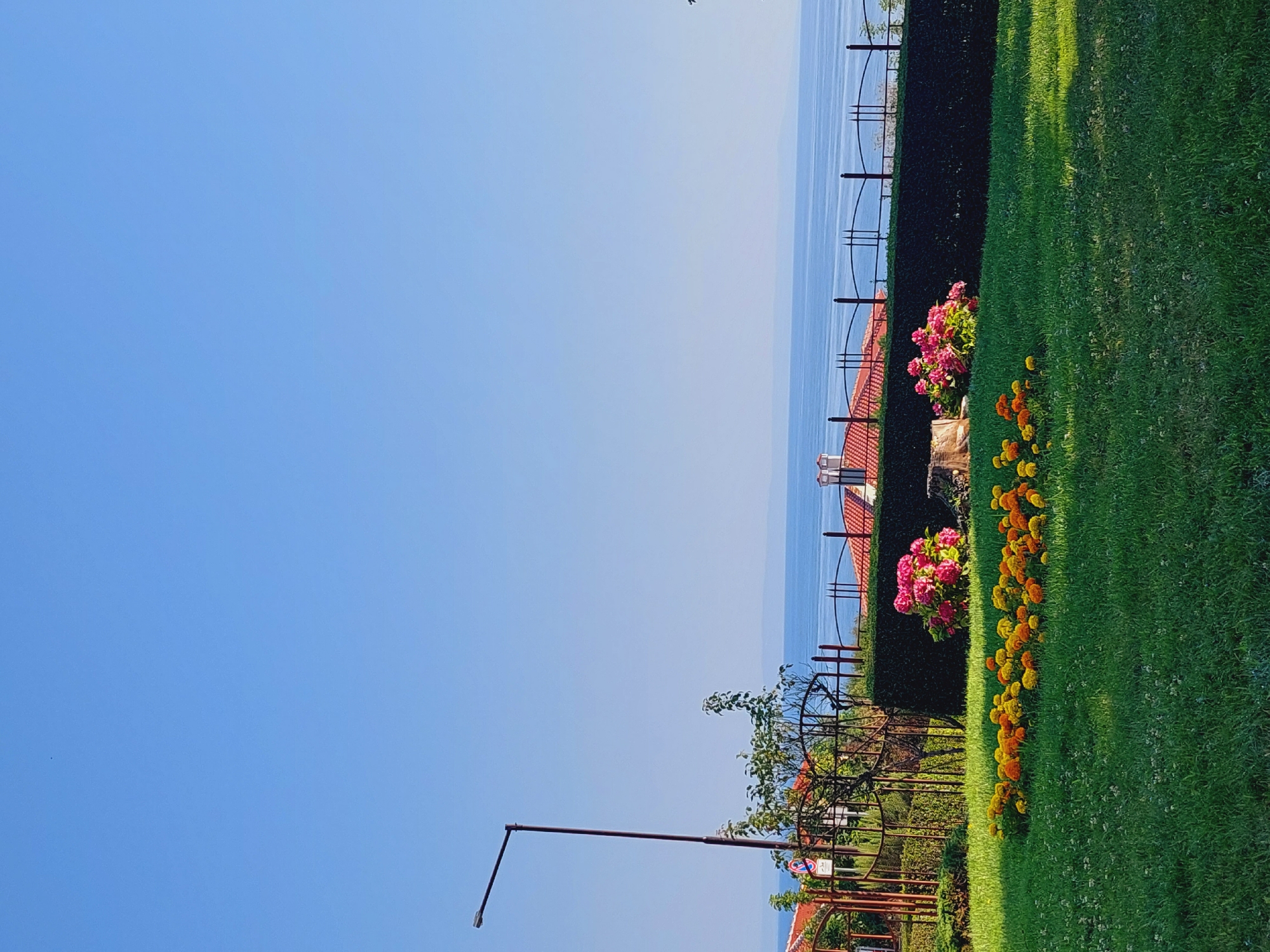 In Sozopol, Bulgaria, this photograph captures a serene coastal view. The foreground is dominated by a lush green lawn dotted with vibrant yellow and orange marigolds. Behind the flowers, a dark green hedge creates a distinct line. Beyond the hedge, terracotta-tiled rooftops of buildings are visible, suggesting a residential or resort area. A black wrought-iron fence runs along the edge of the property, overlooking the calm, blue sea. The horizon is marked by a faint outline of distant land. A single street lamp stands tall on the left side of the frame, its dark pole contrasting against the clear, pale blue sky. The scene is bathed in natural sunlight, casting soft shadows on the grass. There are no people or animals visible in the image.