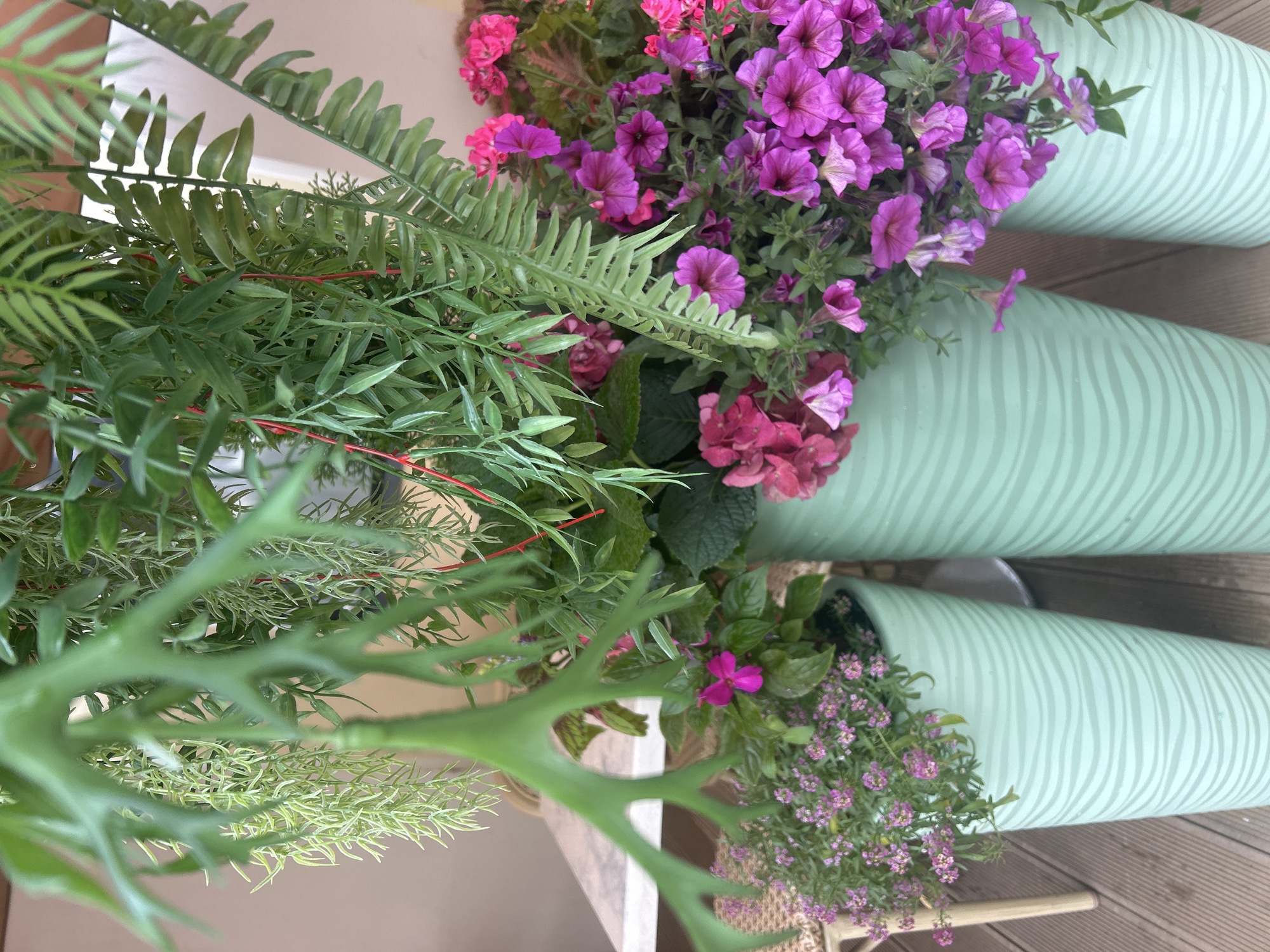 The image shows a collection of green flower pots filled with various plants and flowers. The flowers are a mix of purple, pink, and red hues. The foliage includes ferns and other leafy plants. The pots are cylindrical with a textured pattern. They are placed on a wooden deck. The location is Unknown, Unknown.