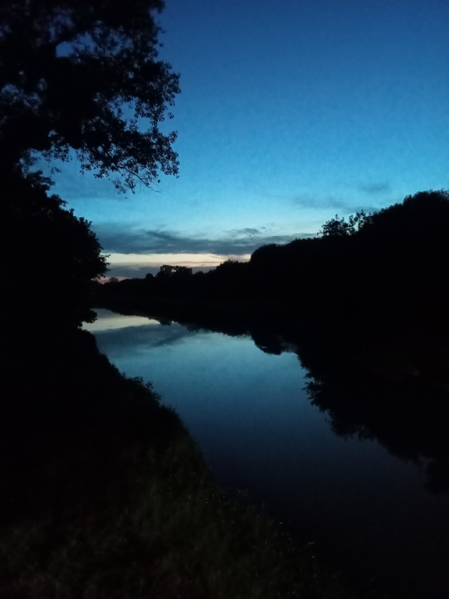 This is a full-frame, vertical, low-angle, color, nighttime photograph of a river at dusk. The sky is a deep blue with some streaks of light clouds near the horizon, where the sun has recently set. The river is dark and reflects the sky, creating a mirror image of the twilight. On the left side of the river, a large tree with dark foliage is silhouetted against the sky. On the right side of the river, a dense line of trees forms a dark silhouette, with some lighter foliage visible in the distance. The foreground on the left bank of the river shows some grass and other vegetation. The overall mood of the image is serene and peaceful. There are no people or animals visible in the image, nor any obvious man-made structures. The location is Unknown, Unknown.