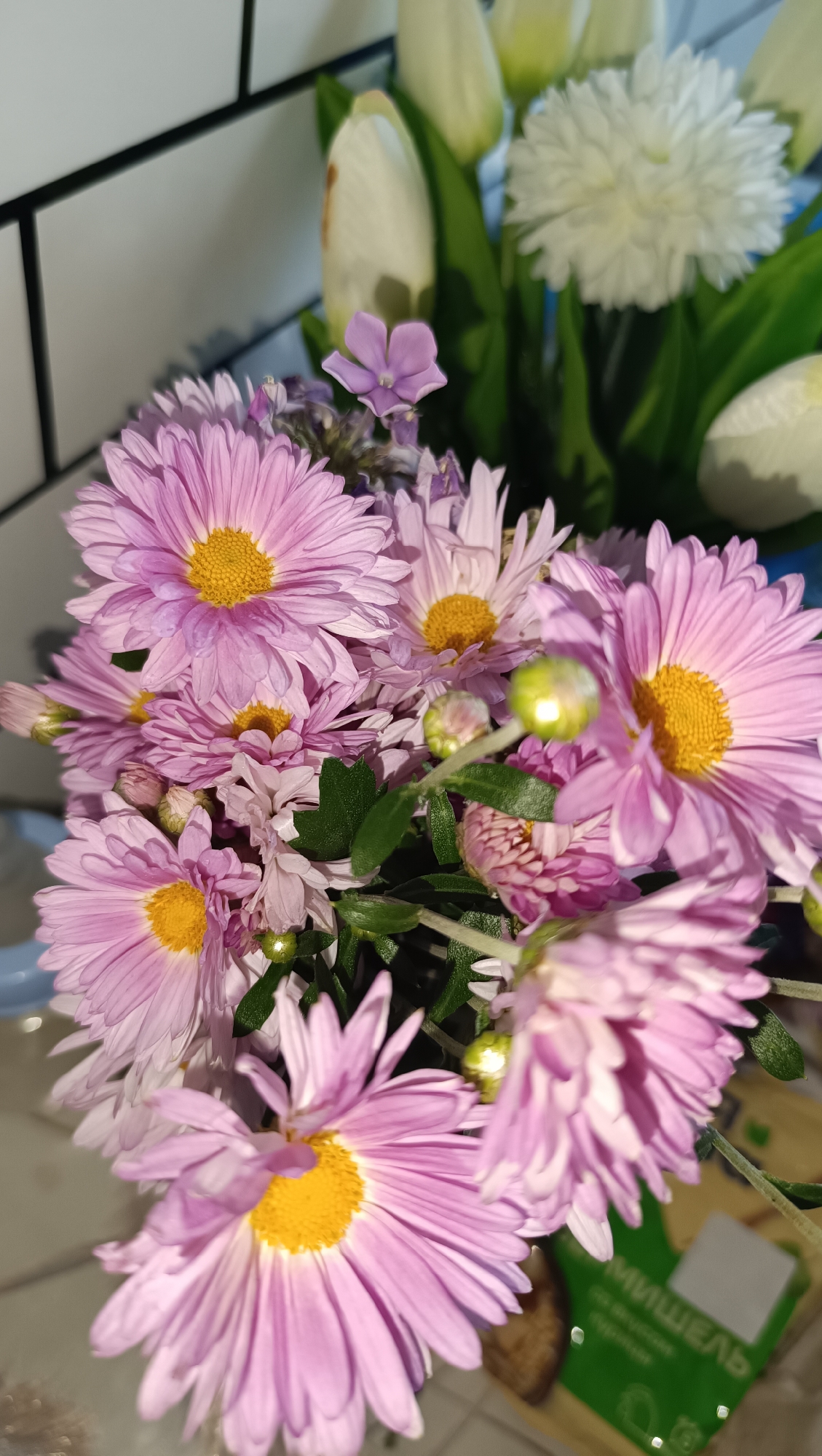 A close-up, eye-level shot captures a bouquet of pink chrysanthemums and white tulips, possibly in a residential setting in Chaikovsky, Russia, given the commonality of such floral arrangements. The lighting suggests an indoor environment, possibly near a window or under artificial light, casting soft shadows. The background is a blurred mix of a white tiled surface, possibly a kitchen or bathroom backsplash, and hints of green foliage from the bouquet. There are no people visible in the image, and no actions or interactions are depicted. The focus is entirely on the vibrant colors and delicate textures of the flowers, with the chrysanthemums being the most prominent subjects, their yellow centers contrasting with the soft pink petals. The overall impression is one of a fresh, natural display, likely a gift or decoration.