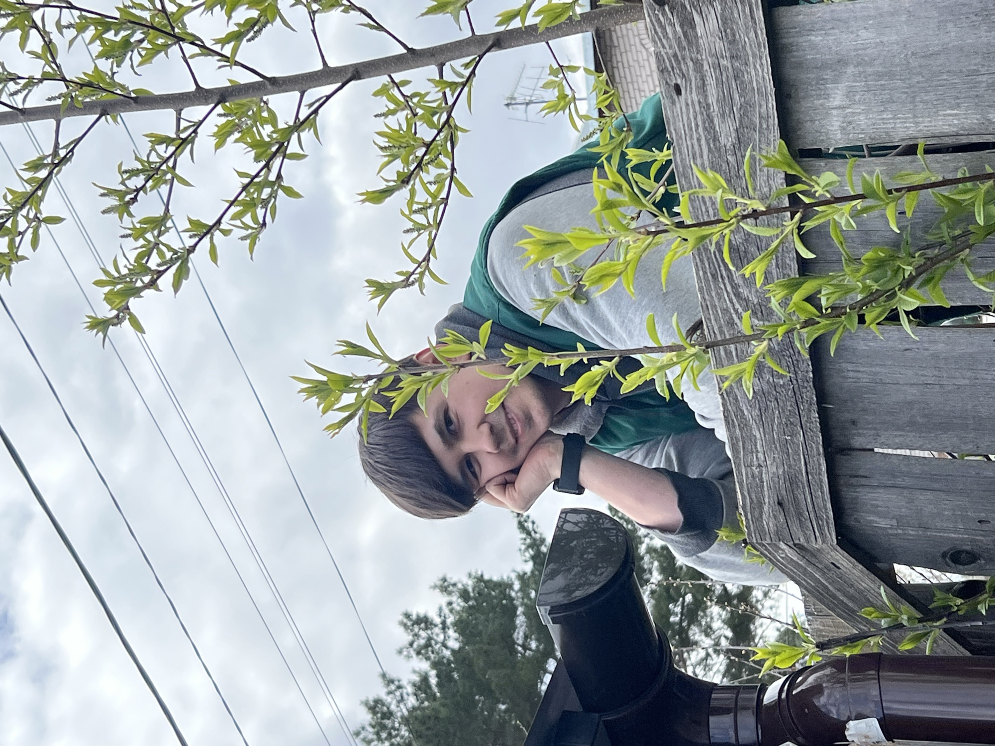 A young person is positioned near a wooden fence, leaning on their hand with a watch visible on the wrist. Green foliage surrounds the upper portion of the frame, obscuring the sky and overhead power lines. Below, a section of guttering is visible against a backdrop of trees. While the precise location is uncertain, based on the description, it can be estimated that the picture could be located in a residential area within Chaikovsky, Russia. The scene gives the impression of an outdoor setting on a cloudy day.