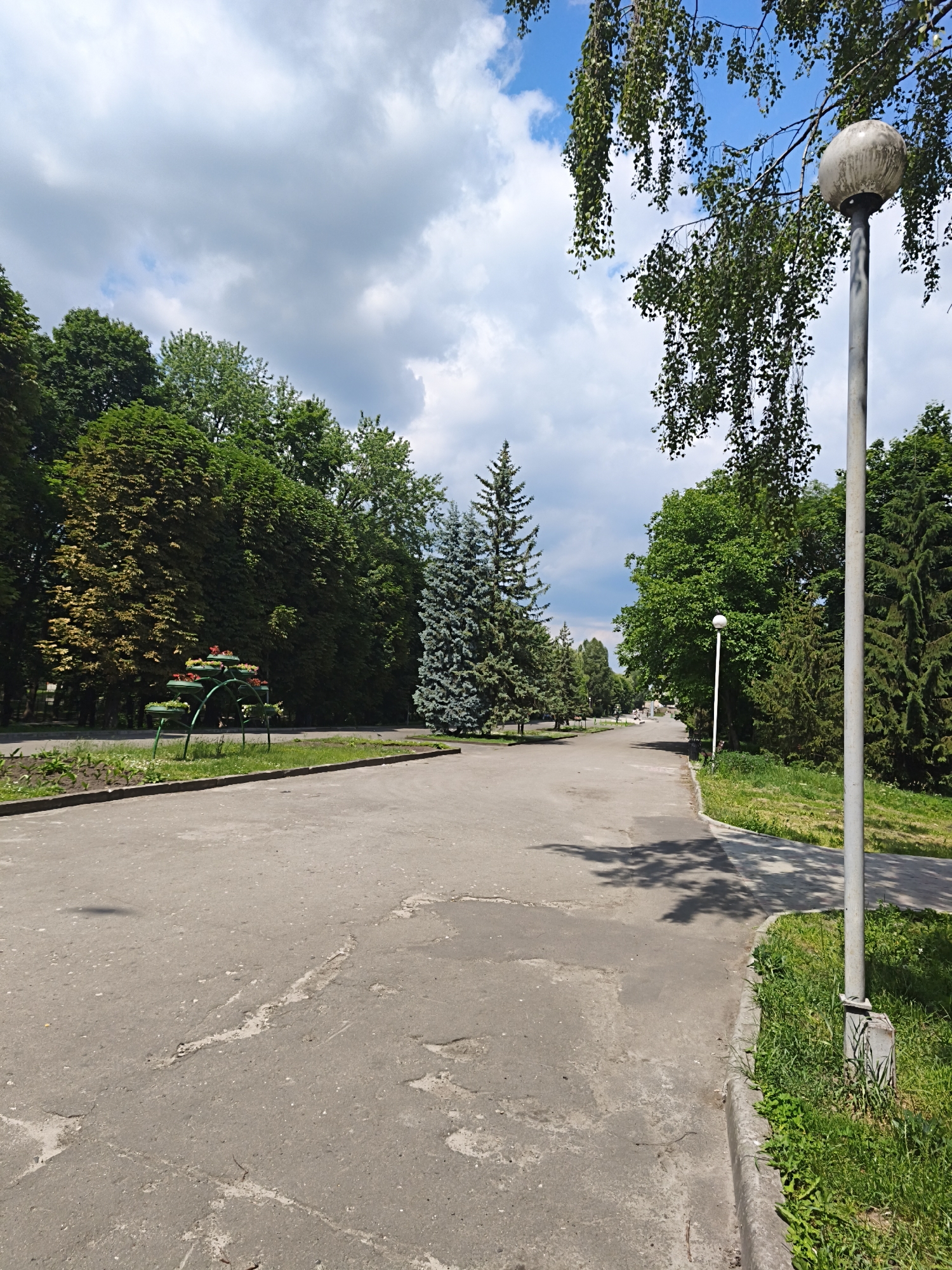 The image depicts a park scene in Ternopil, Ukraine, on a clear day with scattered clouds. A paved pathway curves through the park, bordered by lush green grass and trees. In the foreground, the pathway shows signs of wear and tear, with patches of exposed aggregate. To the left of the path, a decorative metal structure holds several planters filled with red flowers. Further along the path, several tall evergreen trees stand out, their blue-green needles contrasting with the vibrant green of the deciduous trees lining the park. On the right side of the pathway, a tall, grey lamppost with a round, white light fixture stands prominently. The lamppost is partially shaded by the branches of a large tree with delicate green leaves hanging overhead, suggesting it is a warm, sunny day. The overall atmosphere is peaceful and serene, typical of a park setting. There is no visible text in the image.