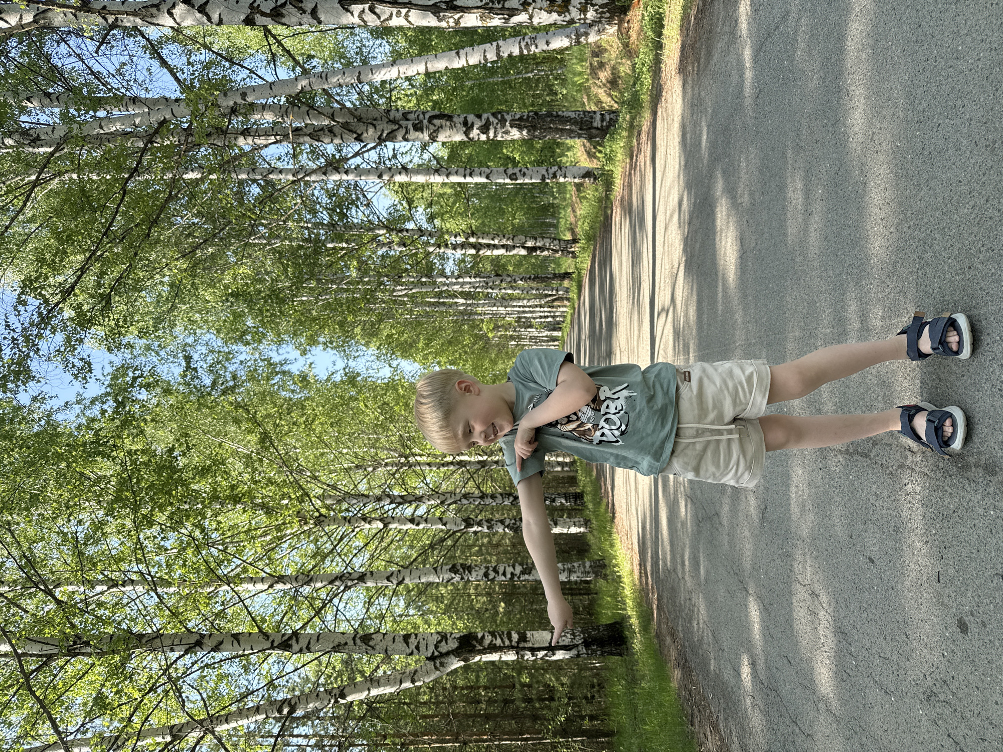 A blond boy in a green t-shirt and beige shorts stands on an asphalt road in a birch forest, pointing with his right hand toward the trees. The road stretches through the middle of the frame, with birch trees lining both sides, their white trunks and green leaves creating a sense of enclosure. The photograph appears to be taken during the daytime, with the sun casting shadows on the road. The boy is wearing dark blue sandals. The photograph was taken in Банное, Russia.