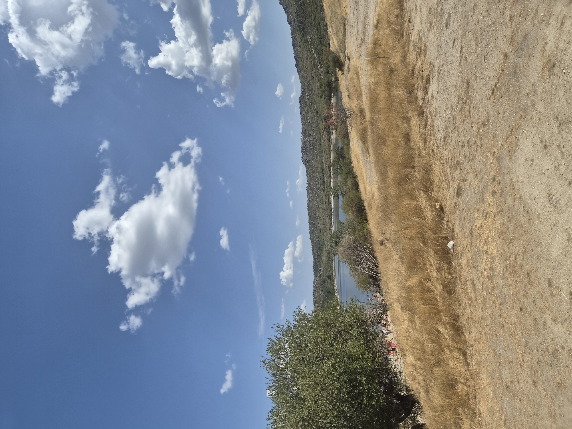 The image depicts a natural landscape scene with a body of water, rolling hills, and a blue sky with scattered white clouds. In the foreground, there is dry, golden grass and a dirt path. To the left, a large green tree stands prominently. Near the water's edge, a group of people are visible, appearing to be on a sandy area. The background features more vegetation and rocky hills. The scene suggests a warm, possibly summer day in a rural or park-like setting. This location is identified as the Lagoa da Serra da Estrela in Gouveia, Portugal.