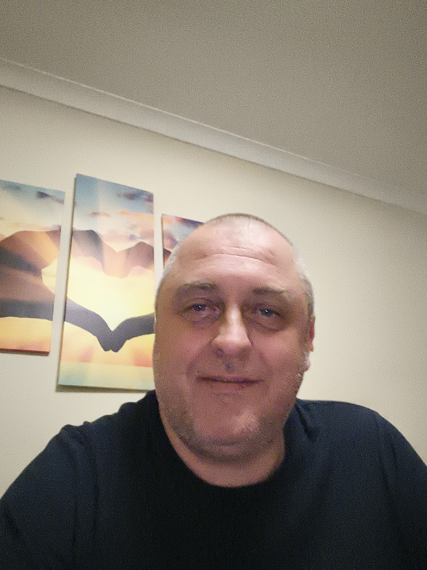 A middle-aged man is depicted in a close-up portrait, likely a selfie, taken indoors. He has fair skin, light-colored eyes, and appears to be balding with short grey hair visible on the sides of his head. A slight, friendly smile is present on his face. He is wearing a dark, possibly black or navy, crew-neck t-shirt.
Behind the man, mounted on a light-colored wall, are three rectangular art panels. These panels collectively form a stylized landscape scene, possibly a sunrise or sunset, featuring mountains and warm and cool hues. The central panel prominently displays the silhouette of two hands gently holding, positioned against the brighter central area of the sky, framed by the mountainous terrain.
The upper section of the image reveals a light-colored, textured ceiling and a white molding strip running along the top of the wall. The setting appears to be a domestic interior, consistent with a home in Huntingdonshire, United Kingdom. The lighting is ambient, suggesting indoor artificial light or subdued daylight. No visible text is present in the image. The overall impression is a casual and approachable portrait.