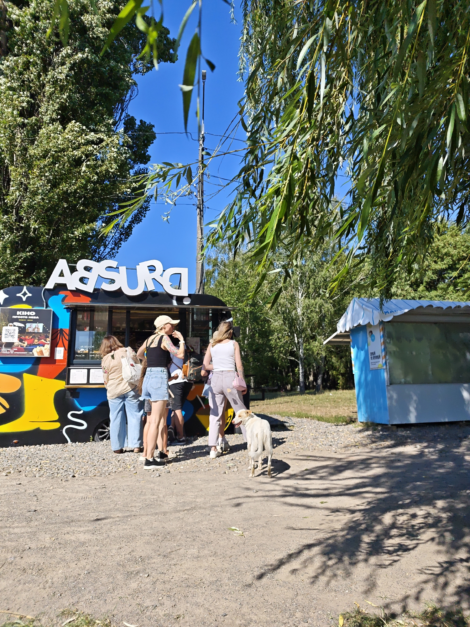 A bright, sunny day in Vinnytsia, Ukraine, with a group of people and a dog gathered in front of a vibrantly painted food truck named "Absurda." The food truck has a striking yellow, blue, and red graffiti design. A young woman in a black tank top and denim shorts, wearing a beige baseball cap, stands at the counter of the food truck, appearing to order. Beside her, a woman in a tan shirt and light blue jeans also faces the truck, while another woman in a white tank top and pink pants stands to the right, looking at the dog. A medium-sized, light-colored dog is standing on the gravelly ground in front of the food truck, facing away from the camera. In the background, there is another small, blue-sided structure with a white roof and awning. The scene is framed by lush green trees, with willow branches hanging down from the top of the image, and a clear blue sky overhead. The ground is a mix of gravel and dirt.