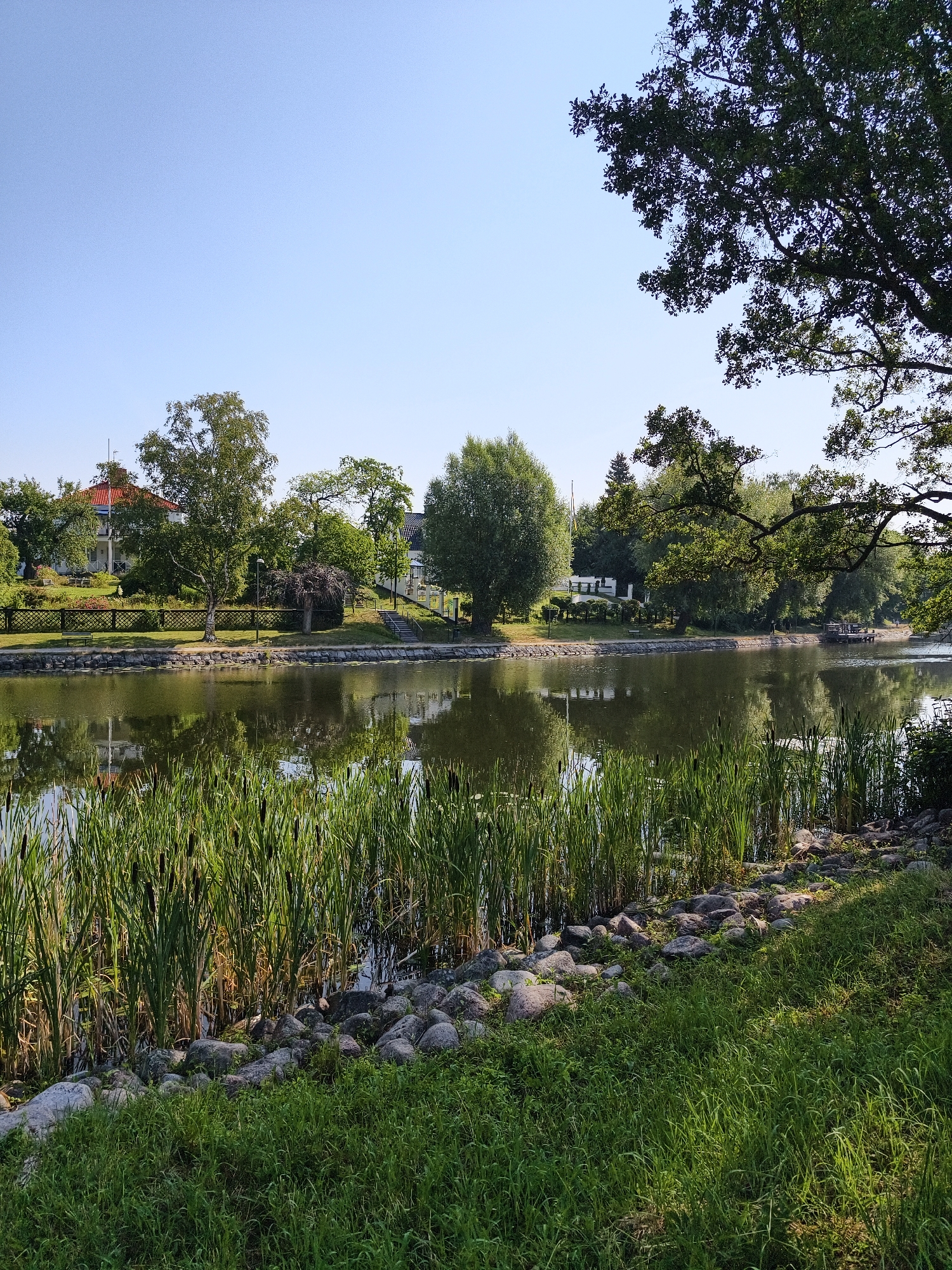 The image depicts a calm body of water, likely a canal or a slow-moving river, bordered by lush green grass and reeds in the foreground. The water reflects the surrounding trees and buildings on the opposite bank, creating a serene natural scene. On the far bank, several houses with red tiled roofs are visible, nestled amongst mature trees. A wooden fence runs along the edge of the property closest to the water. In the distance, a larger tree with dense foliage dominates the right side of the frame, its branches extending over the water. The sky is clear and blue, indicating fair weather. This scene is located in the city of Linköping, Sweden, specifically in the area surrounding the Kinda Canal, a common feature in the city's urban landscape.