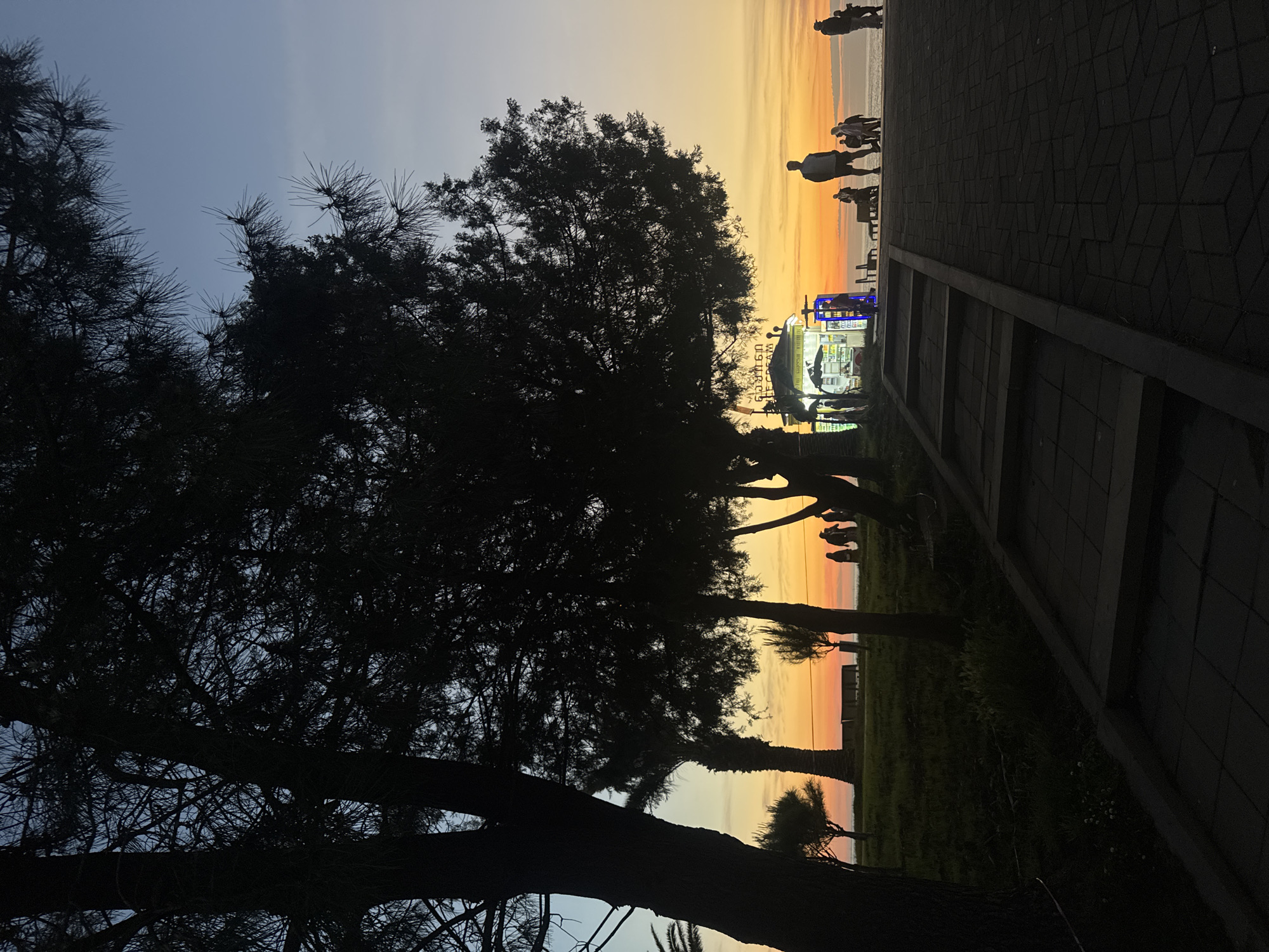 The image depicts a scene on a promenade in Batumi, Georgia, at sunset. Silhouetted trees dominate the foreground, with a view toward the beach and sea in the background.
Several people are visible in silhouette walking along the beach or promenade. A food or refreshment stand with illuminated signage is present near the center of the frame. The sky displays hues of orange, yellow, and blue, indicative of the sunset.
The promenade is paved with patterned tiles, and a low concrete wall runs along the edge.