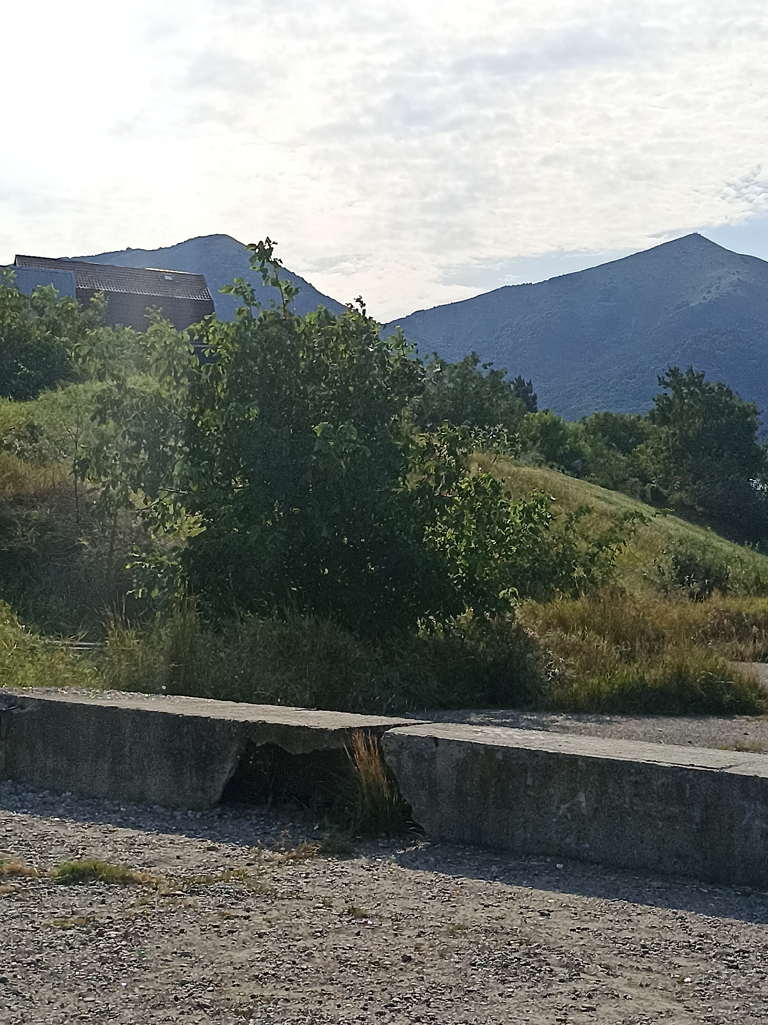 The image depicts a daytime outdoor scene in the city of Lermontov, Russia. In the foreground, a rough-textured, grey concrete barrier runs horizontally across the frame, showing signs of wear and tear, with a section of it appearing broken or eroded, revealing the gravelly ground beneath. The ground in front of the barrier is covered in small stones and gravel.
Beyond the barrier, the terrain slopes upwards, covered in lush green vegetation, including trees and tall grasses. Several trees with dense foliage are prominent, interspersed with dry, lighter-colored grasses.
In the mid-ground, a section of a building with a dark, tiled roof is visible, partially obscured by trees. This building appears to be situated on the hillside.
The background features a series of blue-hued mountains under a sky filled with scattered white clouds. The lighting suggests a sunny day, with shadows cast by the concrete barrier. The overall scene conveys a natural, somewhat undeveloped environment with a hint of human presence indicated by the building and the barrier.