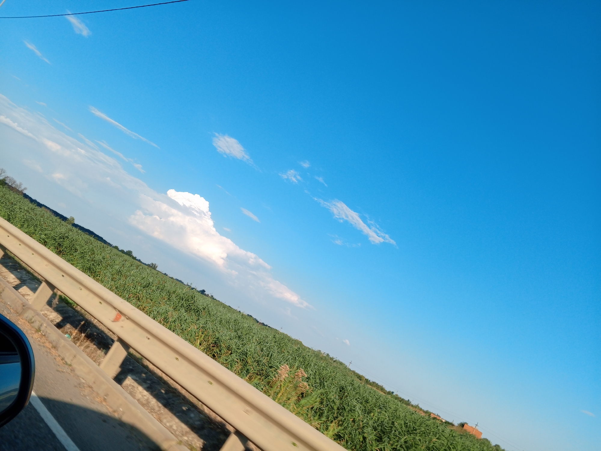 An eye-level, tilted shot captures a vast green field of crops bordering a highway. A light-colored guardrail runs diagonally across the foreground, separating the road from the agricultural land. The sky above is a vibrant blue, dotted with wispy white clouds. A dark car's side mirror is visible in the lower left corner of the frame. The scene appears to be set in a rural area, with no buildings or people immediately apparent in the immediate vicinity.