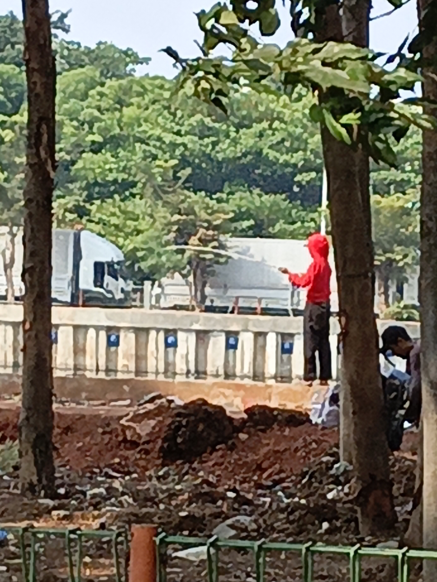 In East Jakarta, Indonesia, on a sunny day, a person wearing a red hooded jacket and dark pants is standing on a raised concrete barrier, holding what appears to be a stick or pole. The person is looking to their left. Behind them, white trucks are visible on a road. The foreground shows mounds of reddish-brown soil and some sparse greenery, with tree trunks in the immediate foreground. To the right, another person, partially obscured by a tree trunk, is looking down. The scene suggests an outdoor environment, possibly a construction or roadside area, with several large trees and dense green foliage in the background.