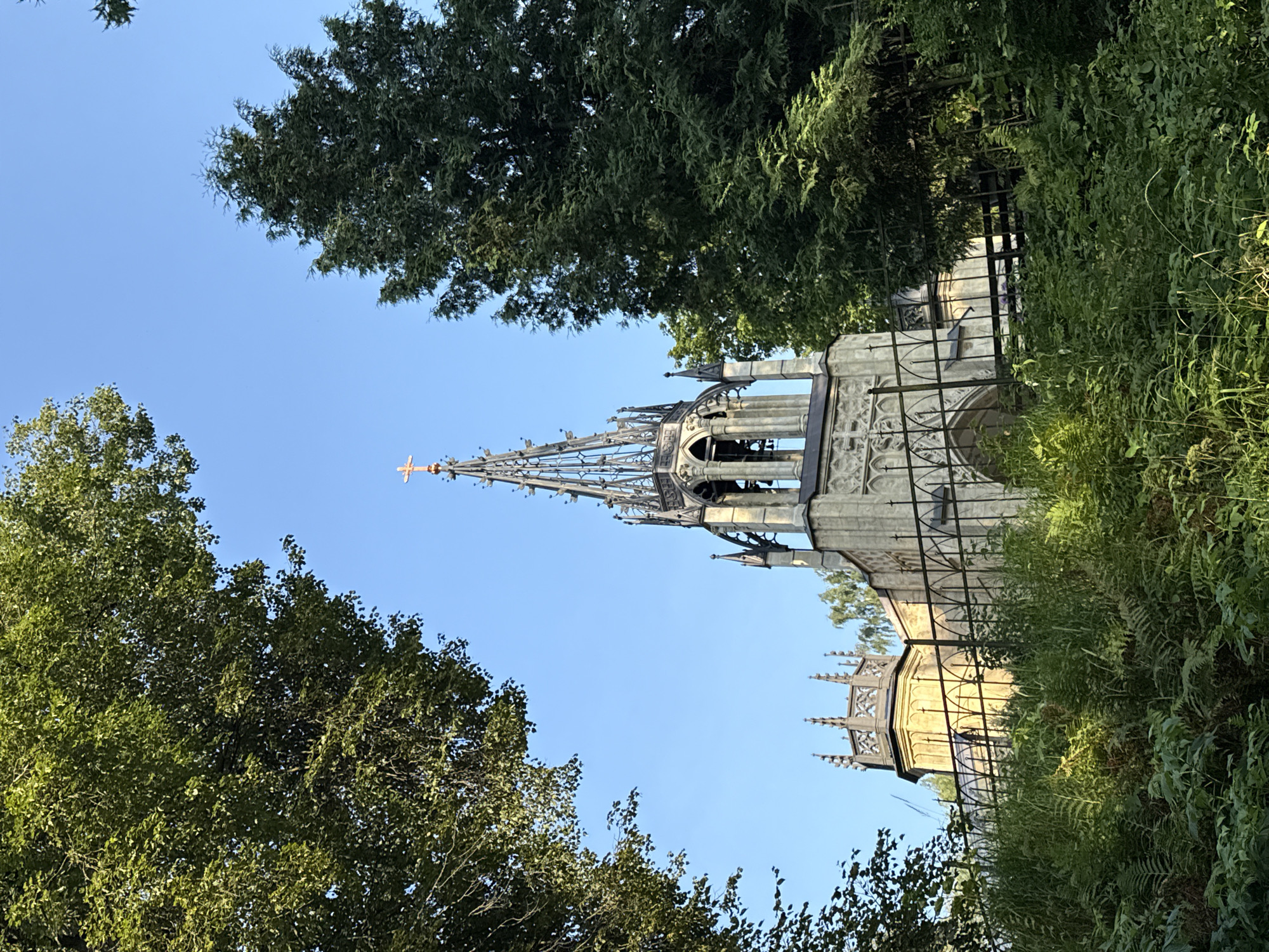 This is a medium shot, eye-level, exterior, daytime photograph of a stone church with a spire, a fence, and lush green foliage in Pargolovo, Russia. The church, made of light-colored stone, has intricate Gothic-style architectural details. Its spire is topped with a small, orange cross. The spire is surrounded by a decorative metal framework and features bells. A black metal fence with arched detailing runs horizontally across the mid-ground, separating the viewer from the church. In the foreground, dense green ferns and other plants create a natural barrier. The background is dominated by a clear blue sky, with the branches and leaves of large trees framing the scene on the left and right. The lighting suggests it is late afternoon or early morning, with sunlight casting a warm glow on the side of the church. There are no people visible in the image.