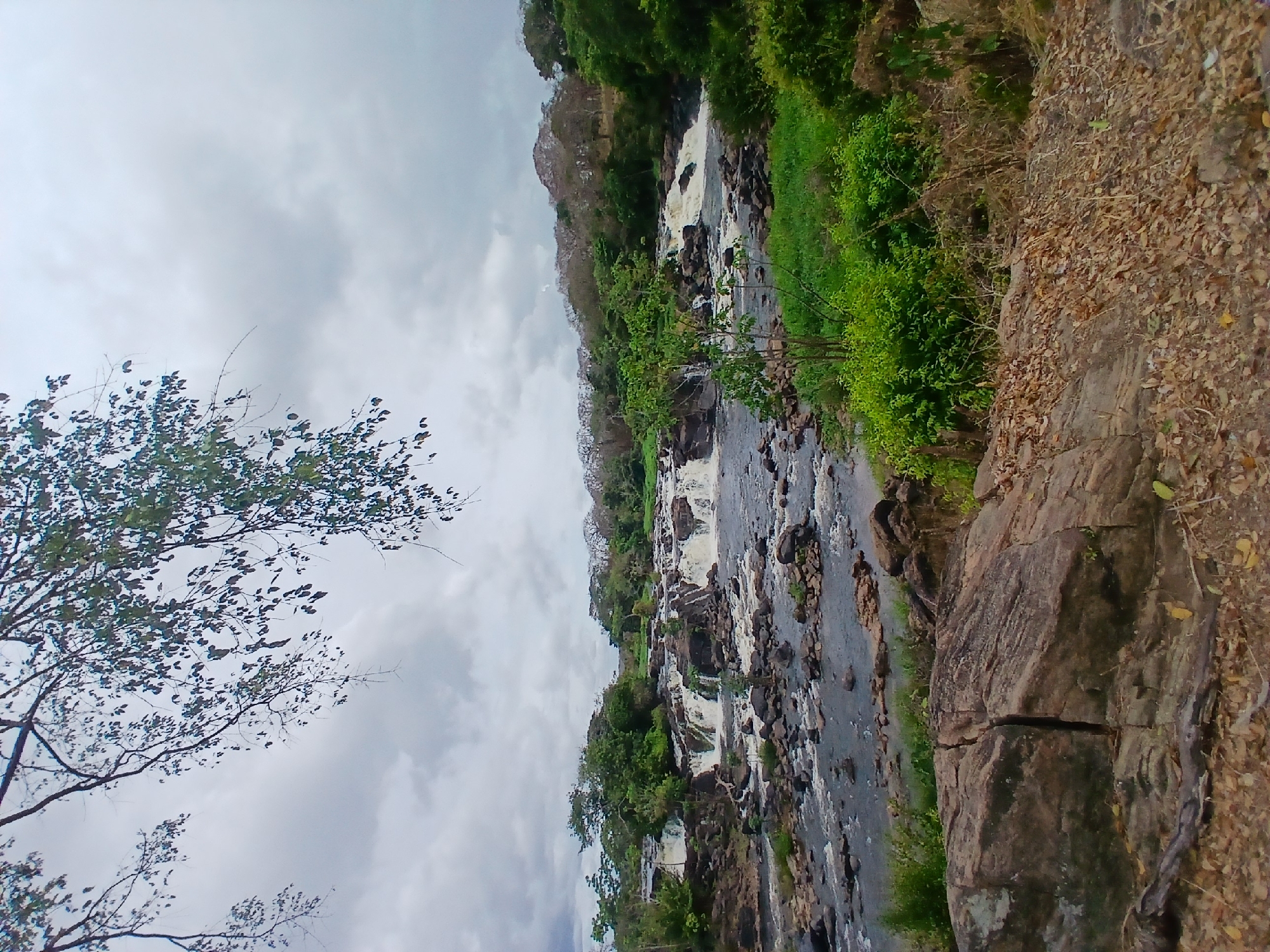 The image shows a view of the Llovizna Falls in Ciudad Guayana, Venezuela. A series of cascading waterfalls flow over rocks and through vegetation. A rocky bank borders the river on one side, with a tree on the opposite side. The sky is cloudy.