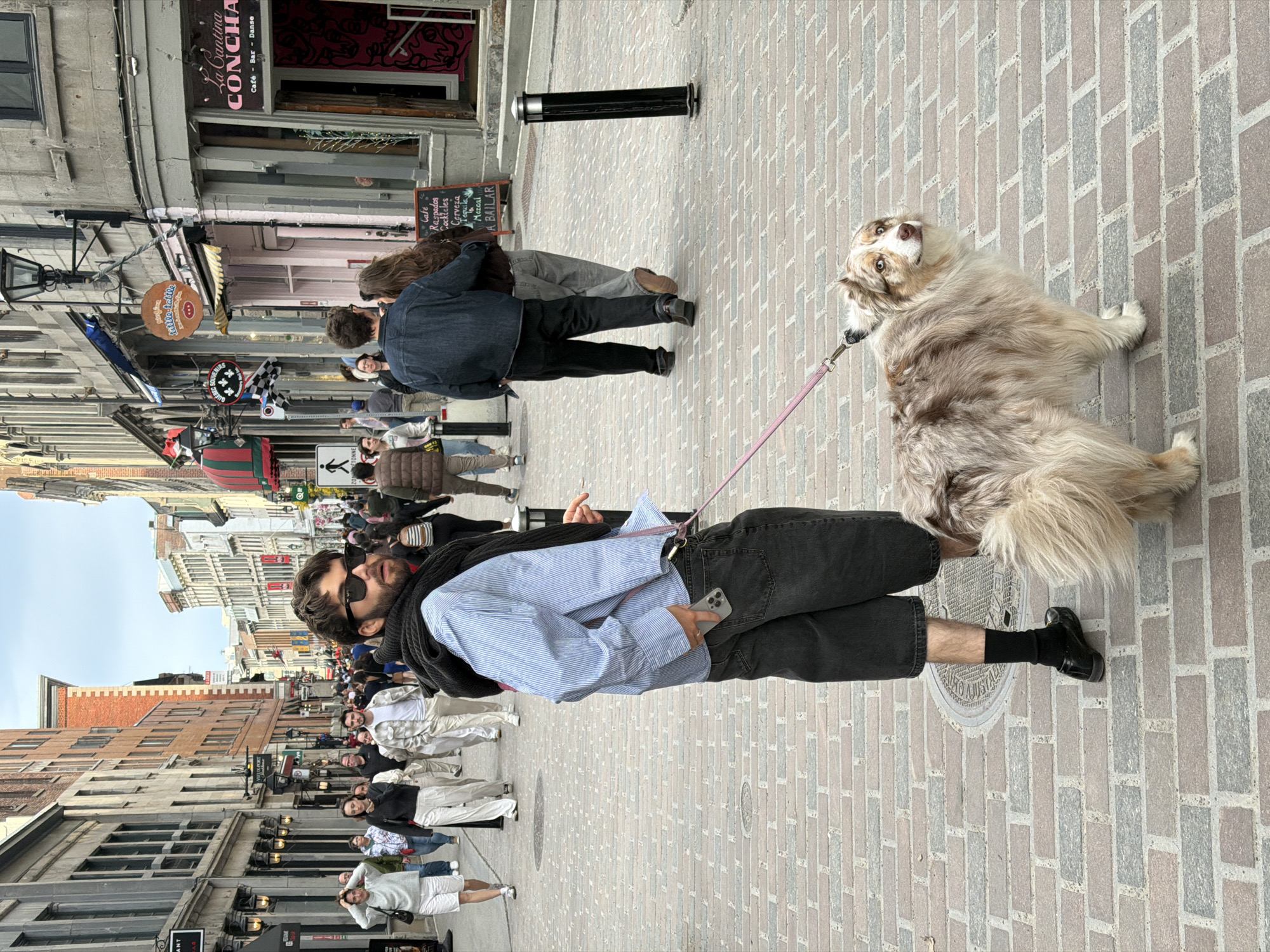 A vertical eye-level medium shot captures a bustling street scene in Montreal, Canada, focusing on a man walking his dog. The dog, an Australian Shepherd with distinctive light brown and cream fur, is on a leash and looking up at the viewer. A man is holding the leash. He is wearing black shorts, a blue and white striped shirt, black socks, and dress shoes. The man has black sunglasses on. He also has a cell phone in his left hand.
The foreground is dominated by a brick-paved street, while the background reveals a vibrant street lined with buildings of varying heights and architectural styles. Shops and restaurants are visible, indicated by signs, awnings, and outdoor seating. Pedestrians of diverse ages and clothing are walking in both directions, contributing to the lively atmosphere of the street. In the upper left corner of the frame, the sign “La Cantina Concha” indicates a bar or restaurant. Another sign lists "Cafe," "Raspados," "Cocktails," "Cerveza," "Tequila," and "Mezcal."