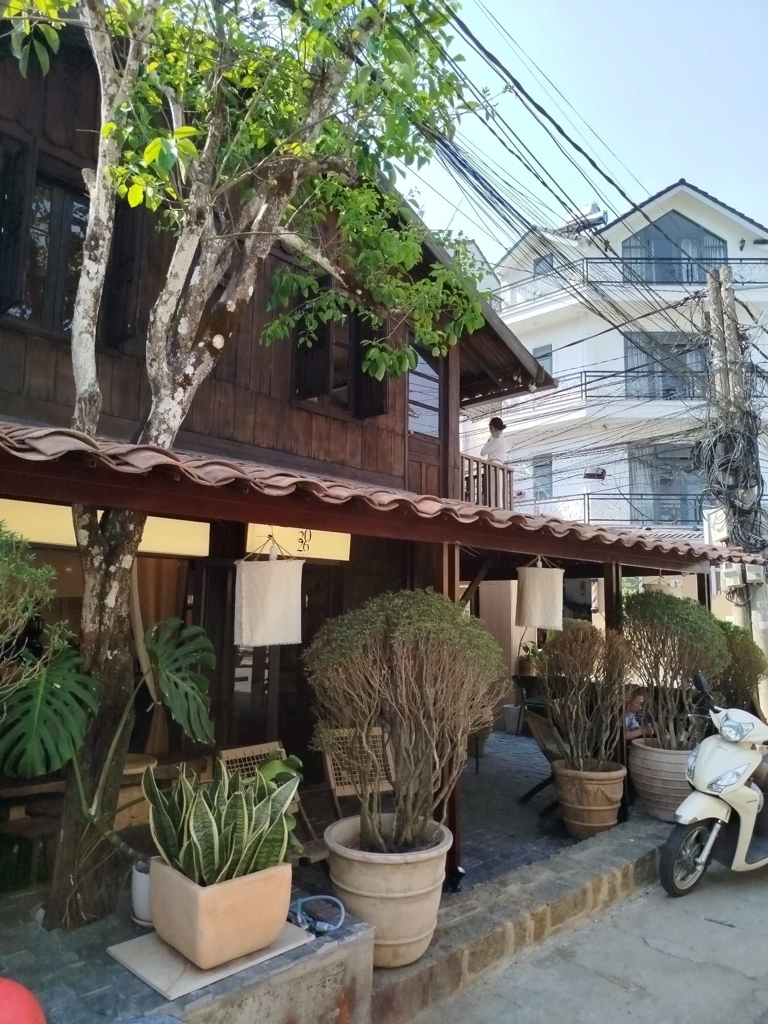 The image shows a street scene in Da Lat, Vietnam. In the foreground, there are various potted plants including snake plants and larger shrub-like plants in terracotta pots lining a stone sidewalk. A white scooter is parked near one of the pots. The sidewalk is made of stone and brick.
Behind the plants is a two-story wooden building with a tiled roof and a covered porch area. The building appears to be a restaurant or cafe, as indicated by the number "20" painted on a white hanging banner under the porch roof. The porch has several white lantern-like shades. A person is standing on the second-story balcony of the building.
In the background, a modern white building with a peaked roof and multiple stories is visible, with black railings on the balconies. Overhead, a tangle of electrical wires stretches across the sky. The sky appears clear and the lighting is bright. The overall impression is that of a quiet, sunny street in a Vietnamese town.