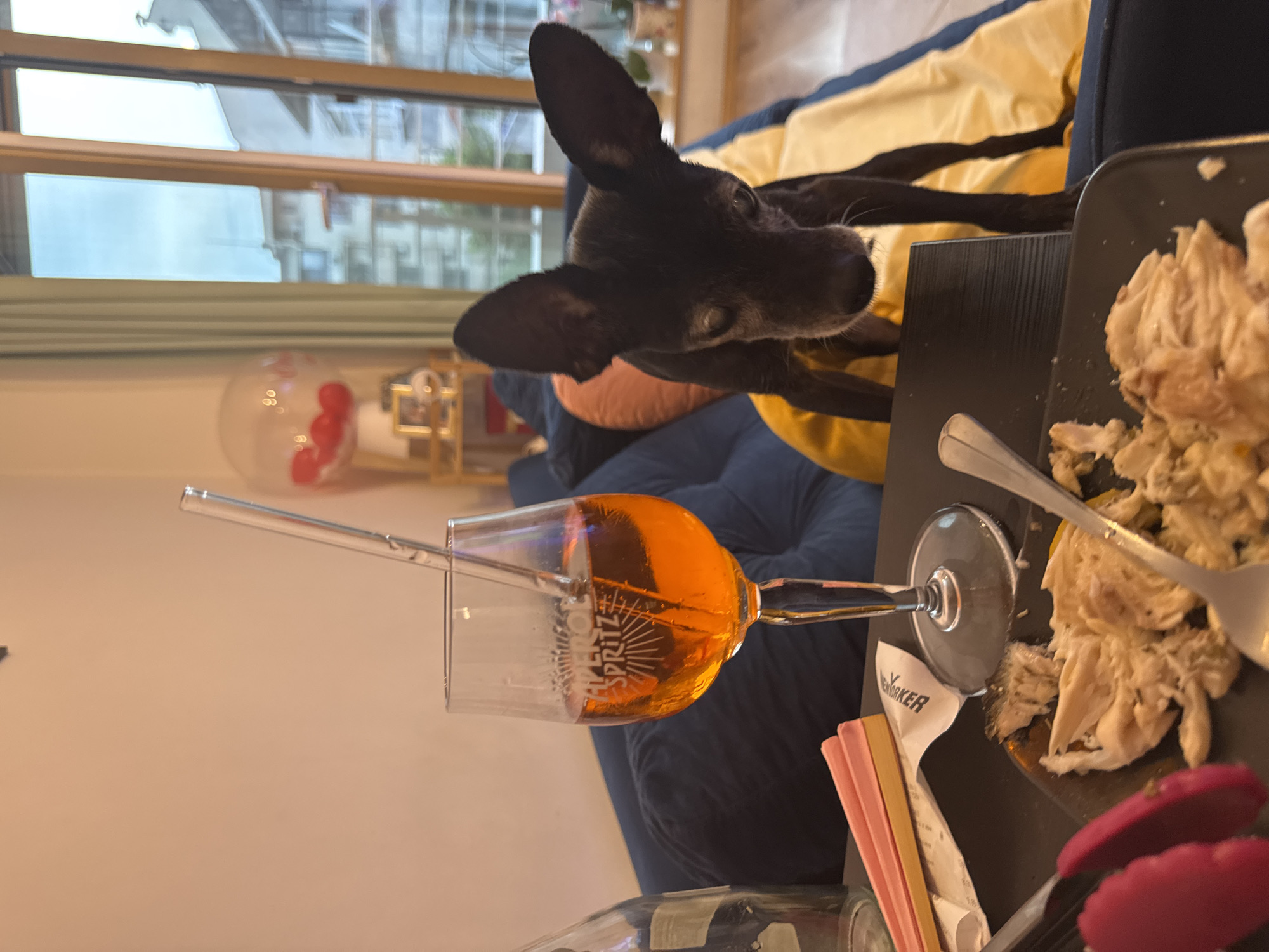 The image depicts an indoor scene, likely a living room, where a small black dog is perched on a dark blue sofa. The dog is looking down towards a table in front of the sofa. On the table, a glass of an orange aperitif, identified by the "APEROL SPRITZ" branding on the glass, is visible with a glass straw. Next to the glass is a white napkin with the word "MAKER" printed on it. A plate containing shredded chicken is also on the table, along with red tongs and a fork. In the background, a large window offers a view of buildings, suggesting an urban setting. The room is furnished with a sofa and a shelf with decorative items, including balloons. There is no specific indication of the city of Plovdiv, Bulgaria.