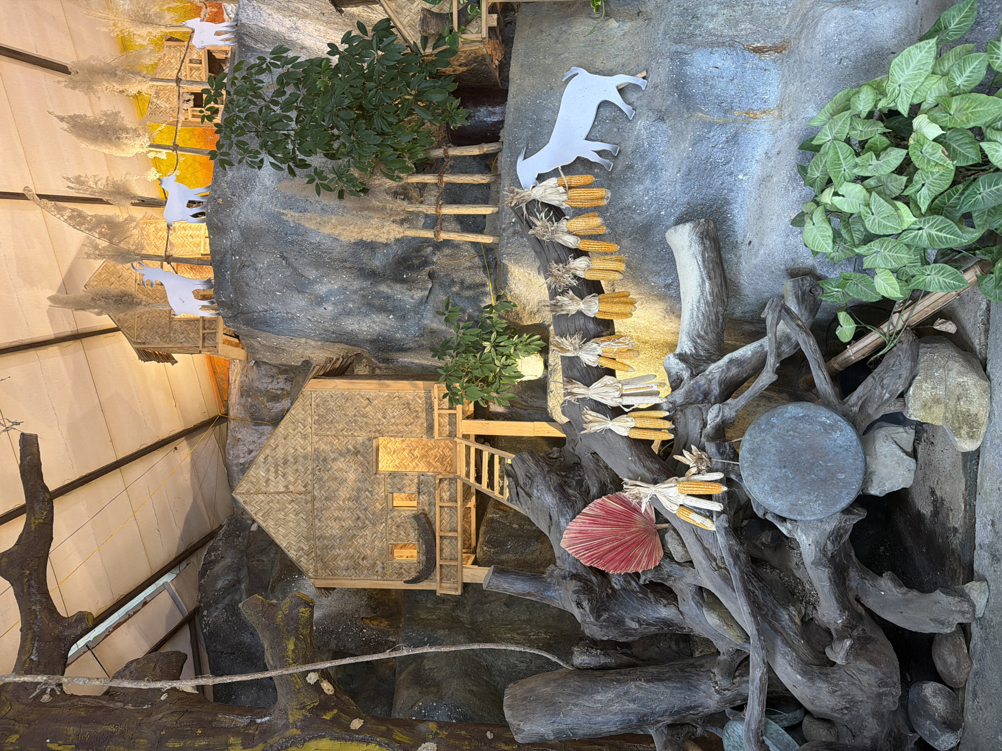 The image shows a detailed diorama depicting a rural Vietnamese village scene, possibly set in Khanh Vinh. The diorama is built against a rough, grey, rocky backdrop, suggesting a mountainous or hilly terrain. In the upper section, two small, thatched-roof houses are visible, nestled into the rocks. Several white, stylized goat figures are placed on the rocks, with some standing near the houses and one in the middle distance. Tall, feathery plants, resembling reeds or pampas grass, are scattered throughout the scene, adding a natural element.
In the mid-ground, a larger, more detailed thatched-roof house is prominently displayed. It has a wooden staircase leading up to a raised platform with a small balcony. The house features small windows and a doorway, illuminated from within, suggesting it is occupied. In front of this house, a large, gnarled tree trunk and root system forms a base. A bright red, fan-shaped leaf is placed on the roots.
Below the mid-ground house, a series of dried corn cobs, tied in bundles, hang from a piece of wood, creating a decorative element. A white, stylized goat figure is positioned to the right of these corn bundles, appearing to interact with them. Further down, at the base of the diorama, is a collection of weathered logs and rocks. A large, dark, circular object, possibly a stone disc or a shallow bowl, rests on some rocks amidst the logs. Lush green plants with heart-shaped leaves grow at the lower right corner of the scene, adding a vibrant touch of nature. The overall impression is a carefully constructed miniature landscape that evokes a sense of rustic simplicity and traditional village life.