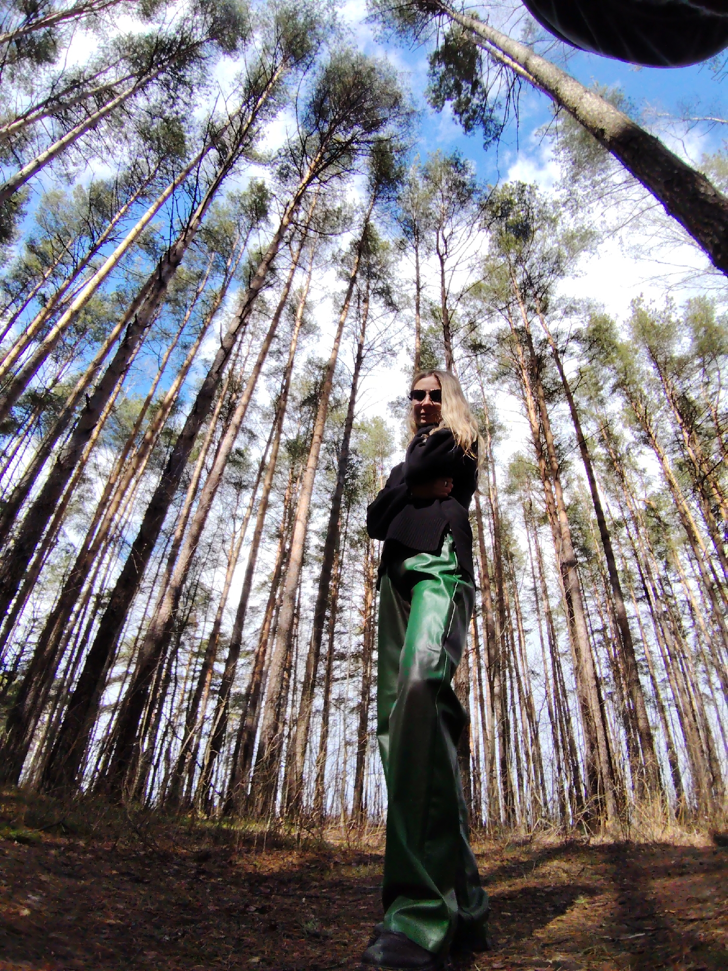 The image depicts a person standing in a forest with tall, thin trees. The trees appear to be evergreens and create a dense canopy overhead, partially obscuring a blue sky with some clouds. The ground is covered with brown leaves and other forest debris. The person is wearing sunglasses, a black sweater, and green pants. The photograph is taken from a low angle, making the trees appear taller and more imposing. The person is standing with their arms crossed. The location is Chaikovsky, Russia.